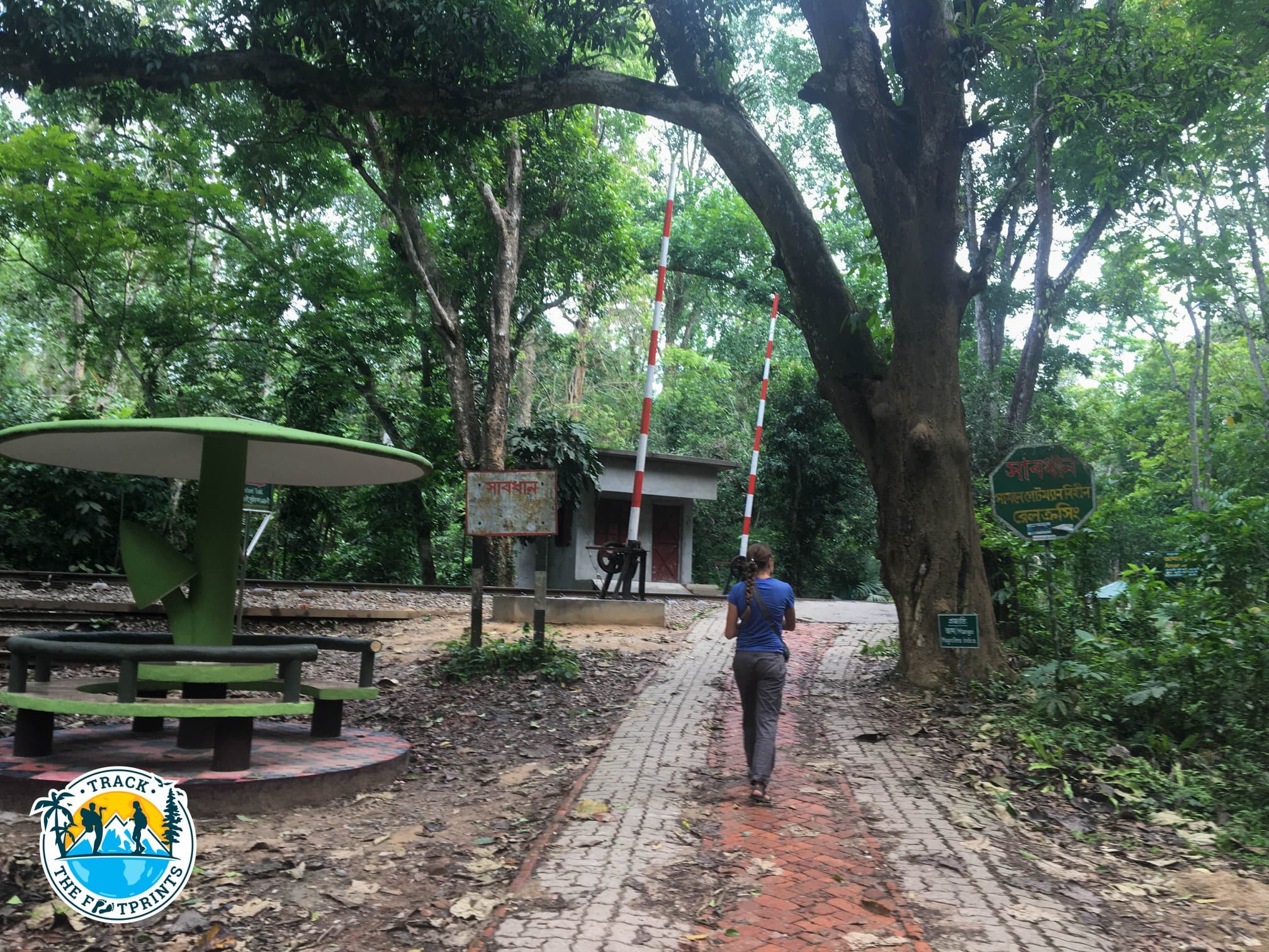 Augustina in the Lawachara Forest, Srimangal