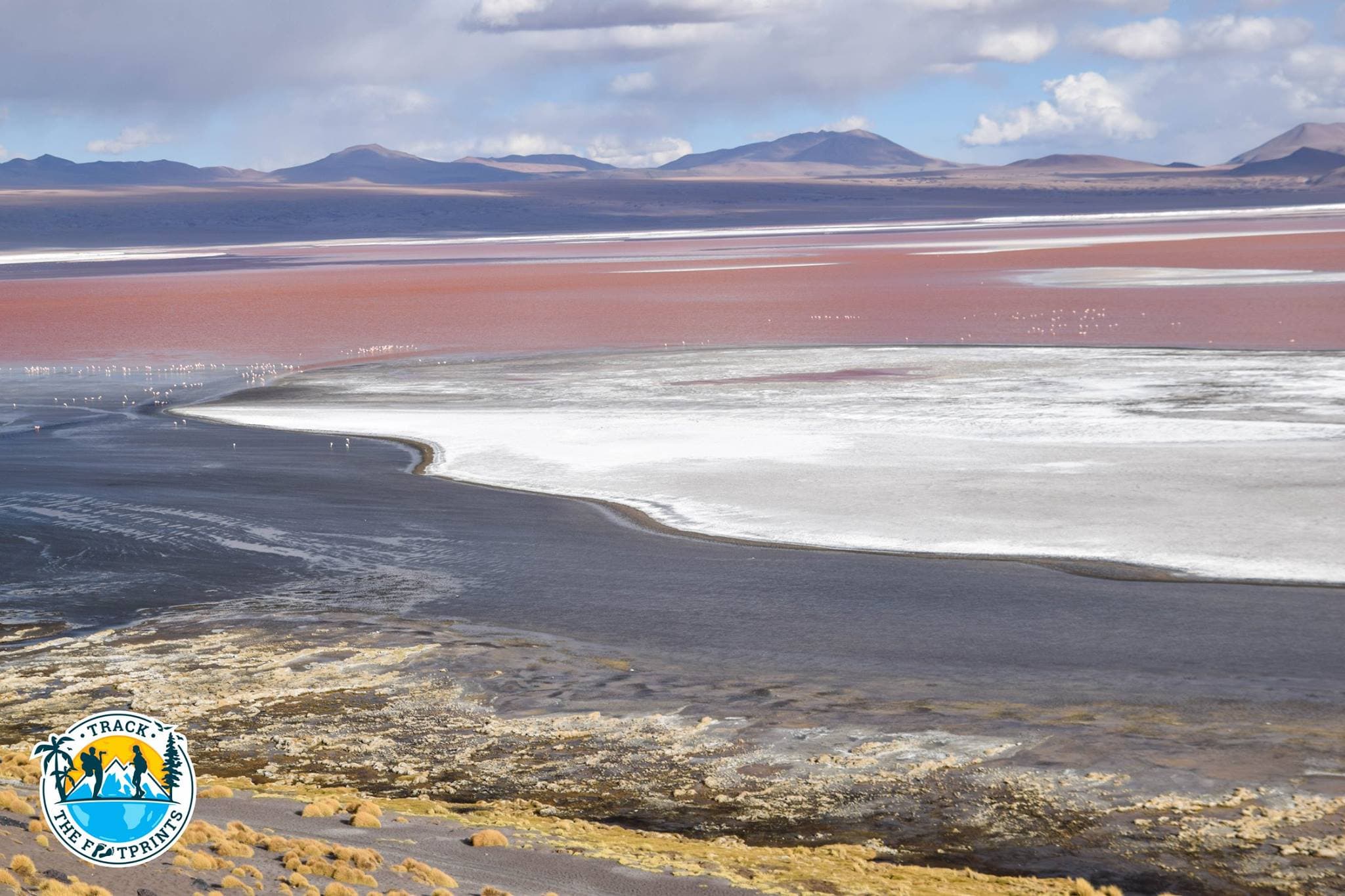 Laguna Colorada