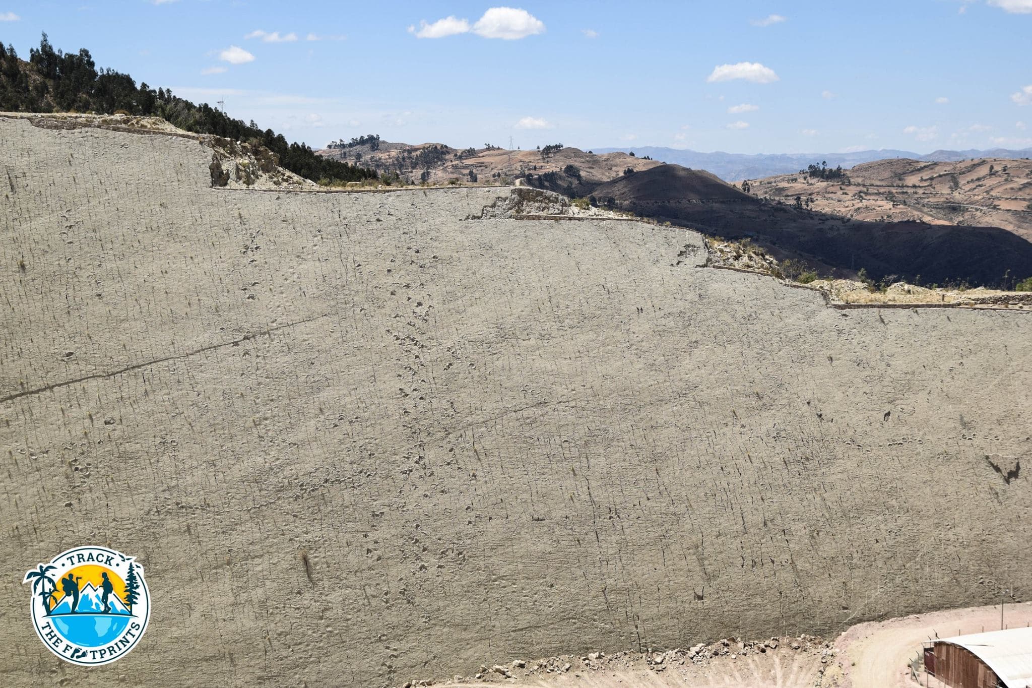 Biggest dinosaur footprints wall in the world! Parque cretácico