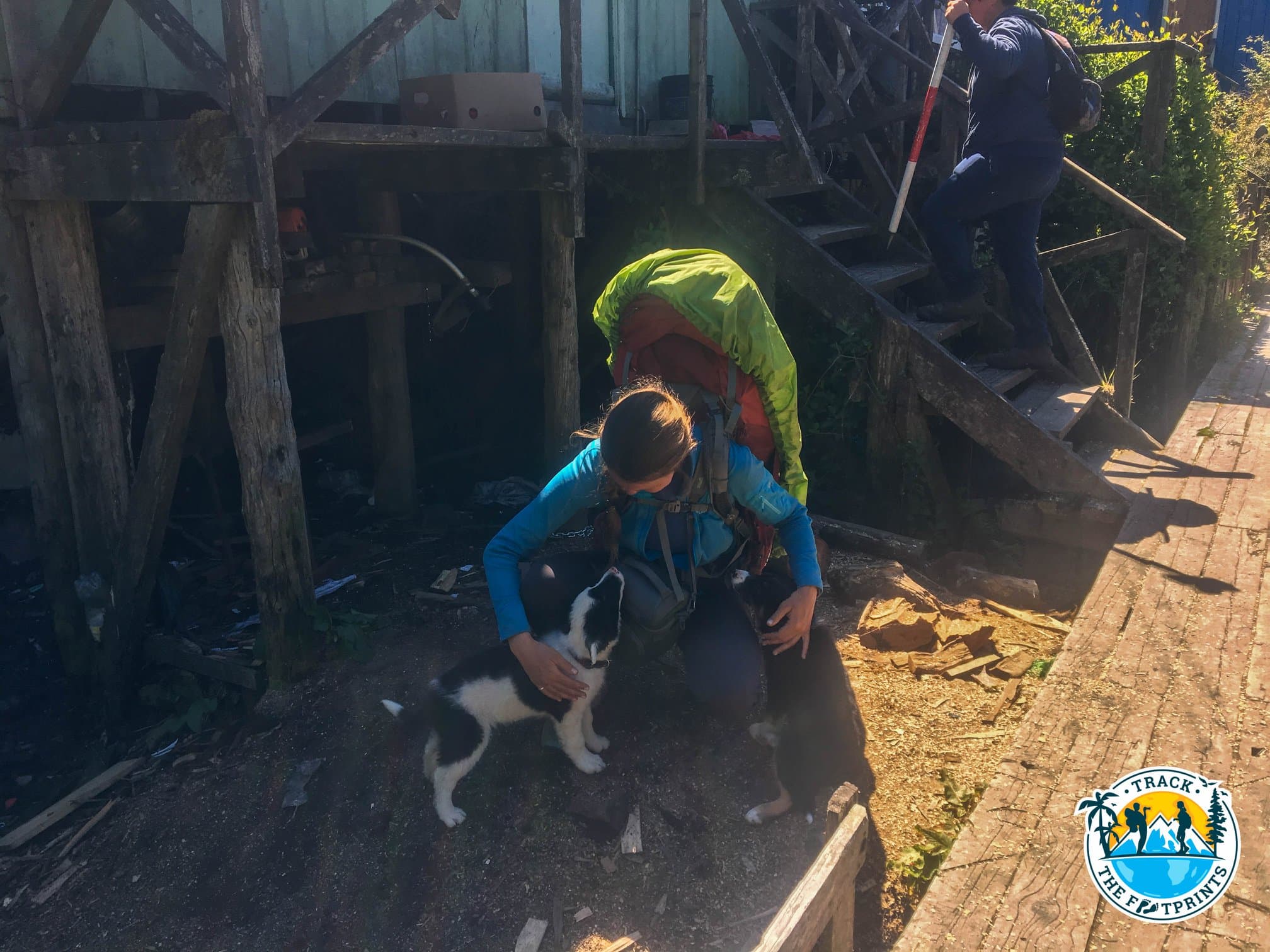 2 lovely puppies... so many pics of Augustina with dogs, isn't it?