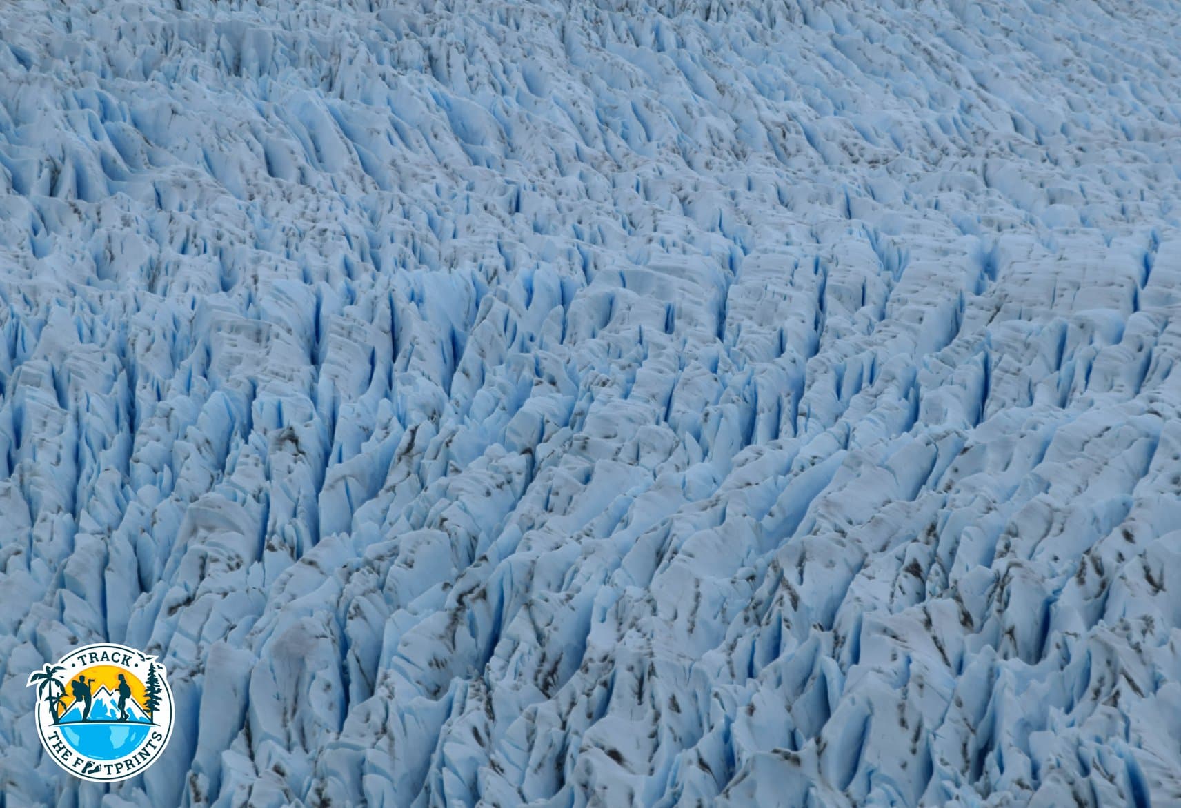 Grey Glacier — Torres Del Paine National Park