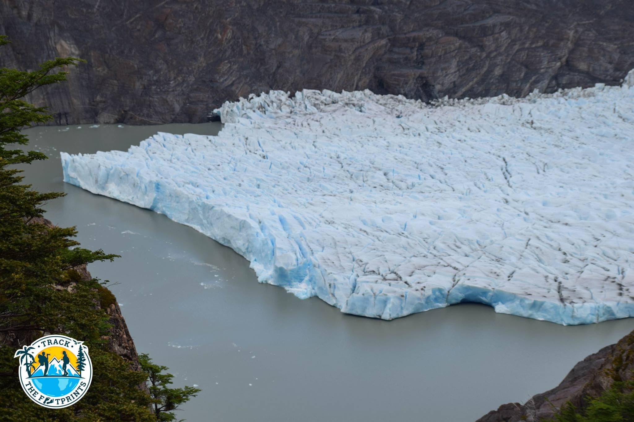Grey Glacier