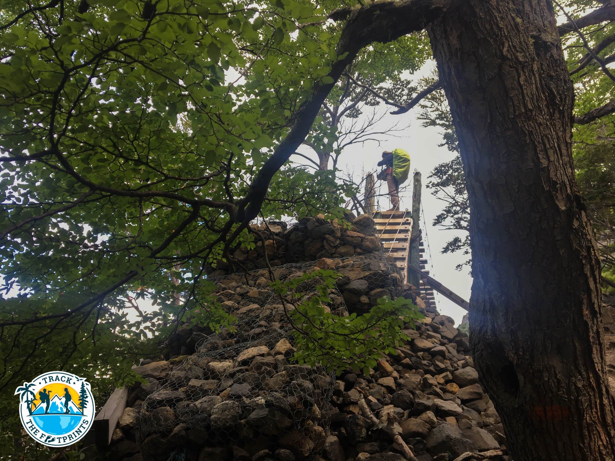 Taking a few pics of the Grey glacier from the bridge