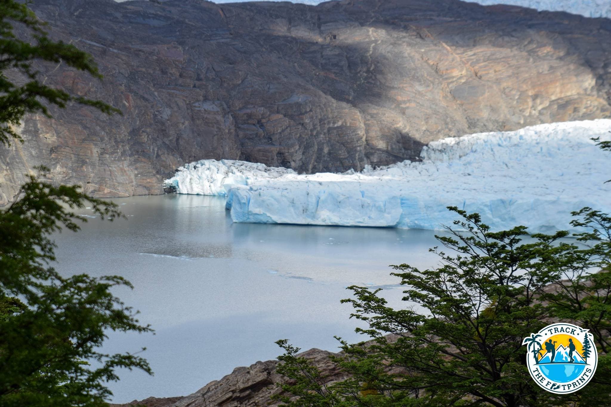 Grey Glacier