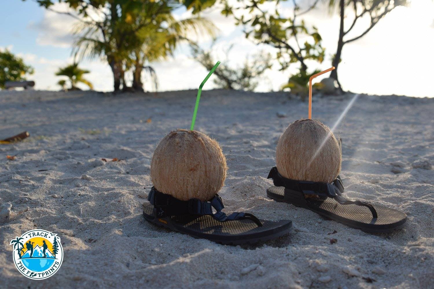 Good fit for the coconuts...