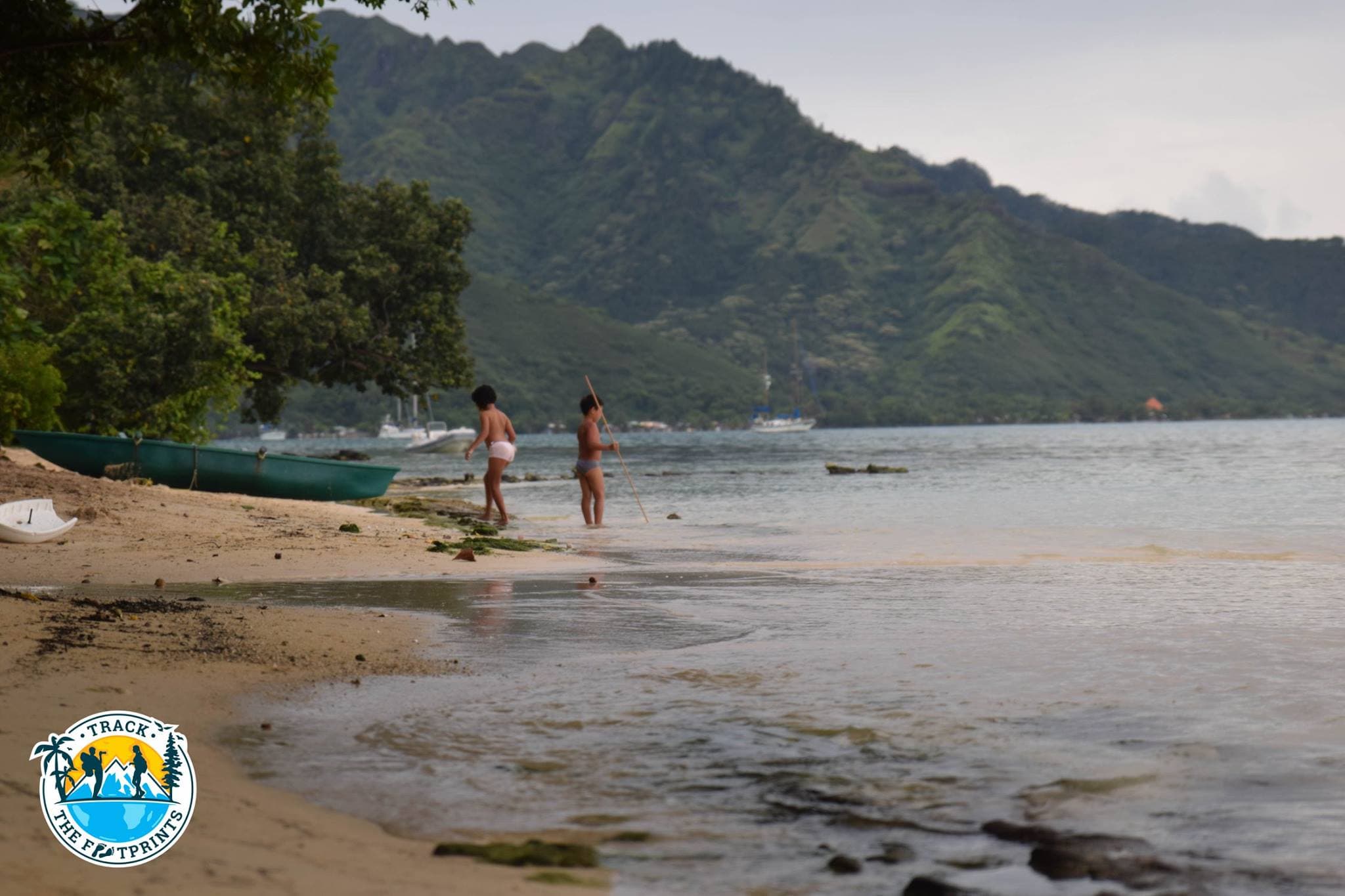 Landscape from the terrace