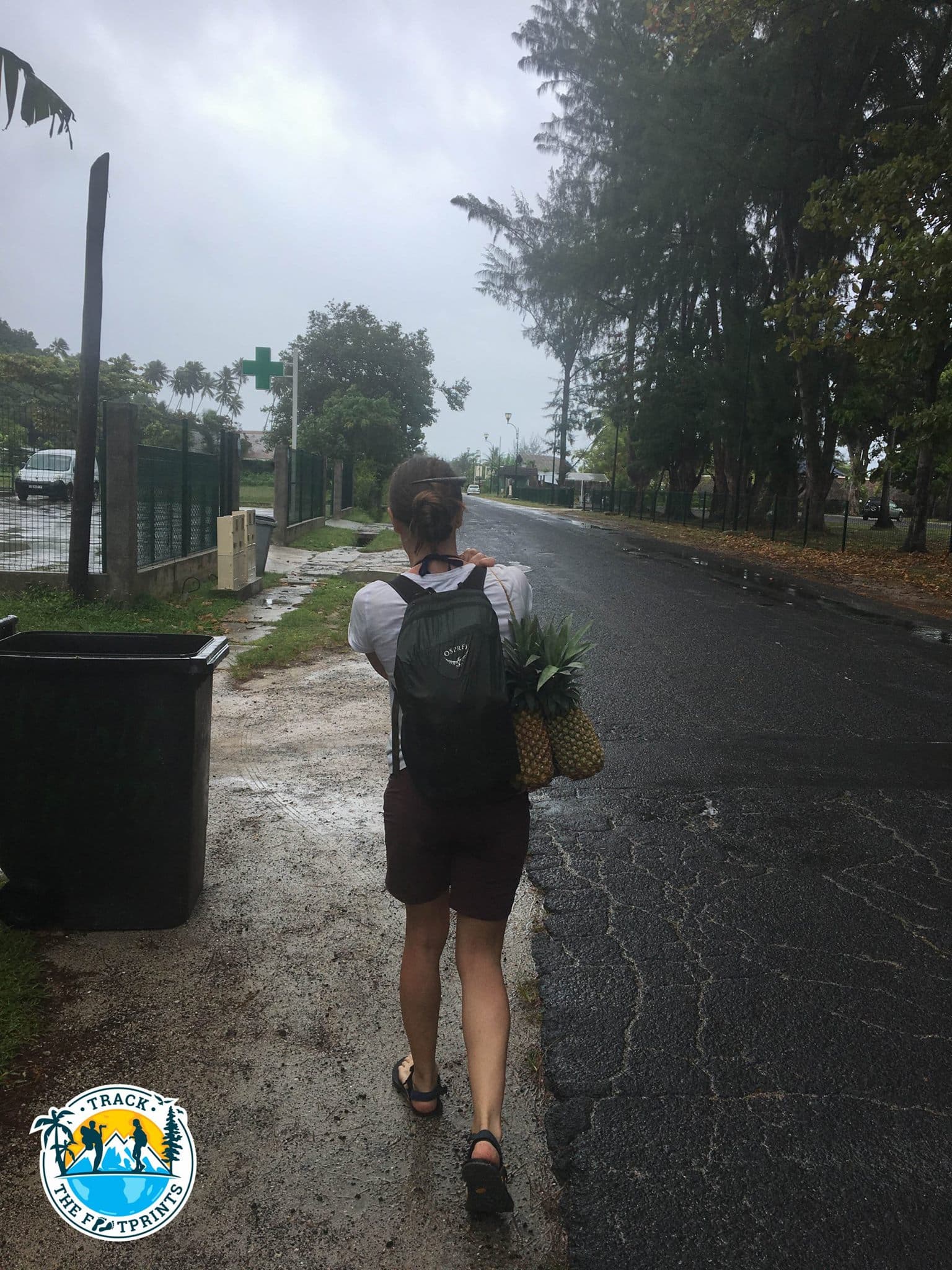 Hunting for pineapple! She thought she was buying only one but it was a package of three...