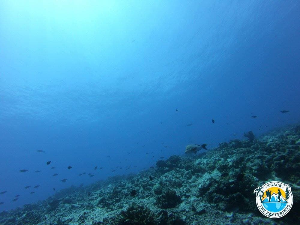 Into the blue of Rangiroa