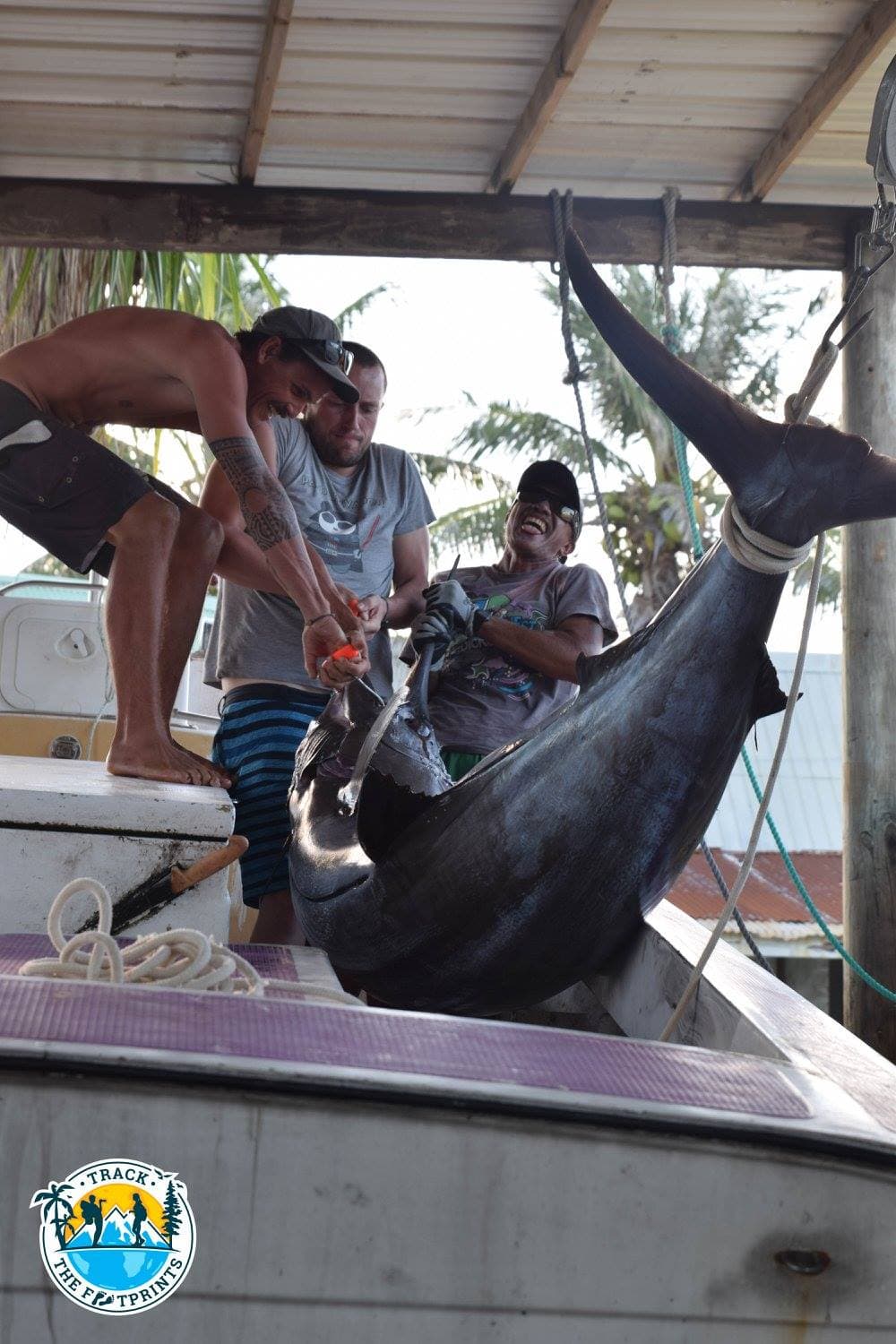 The Swordfish was so big! 170kg