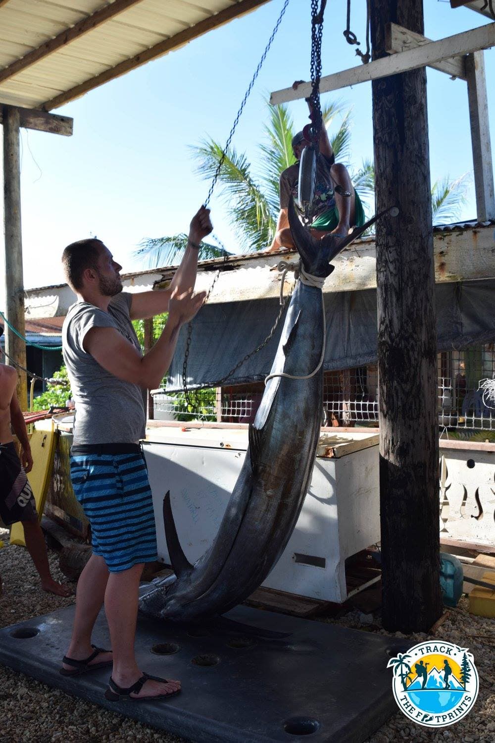 Hopefully, there are tools to elevate the beast