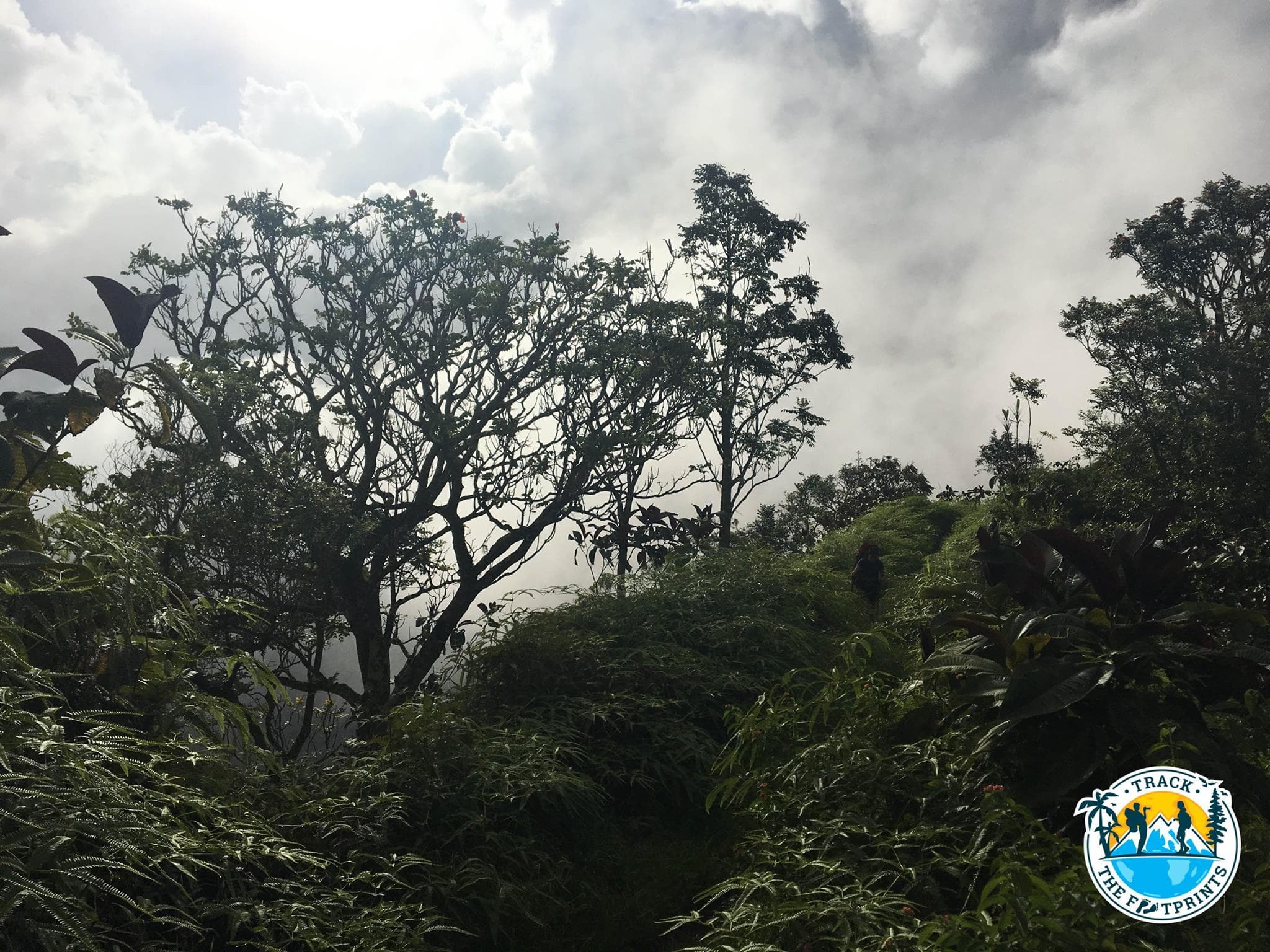 Interesting view during the Aorai trek