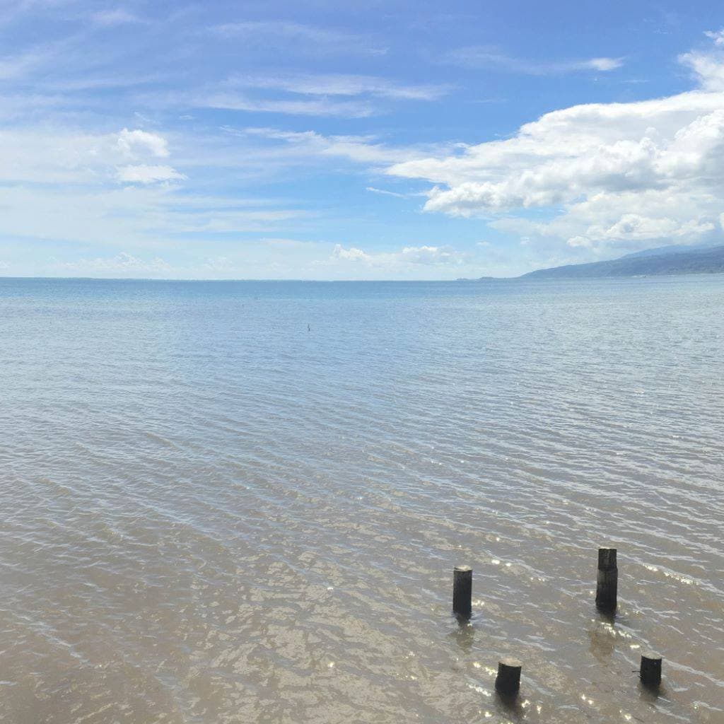 A quick stop during our road trip around the island.