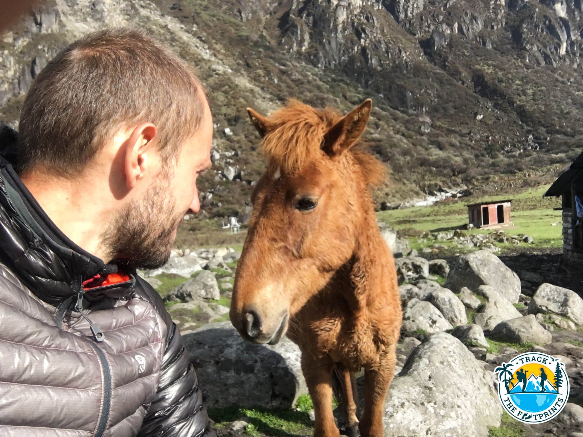 One crazy guy thought William will share his breakfast!