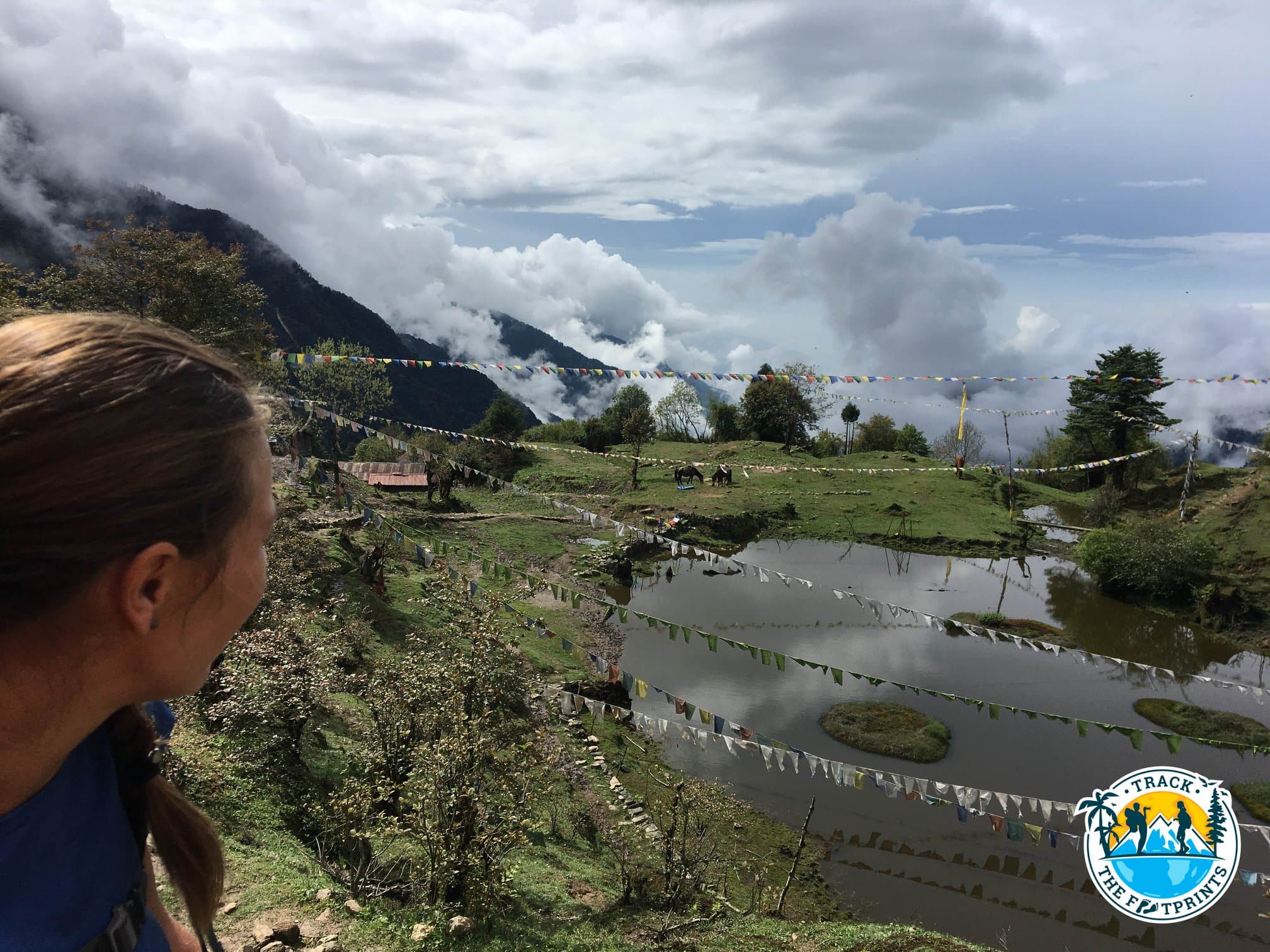 Goecha La Trek: Eight Days into the Himalayas to See Kangchenjunga