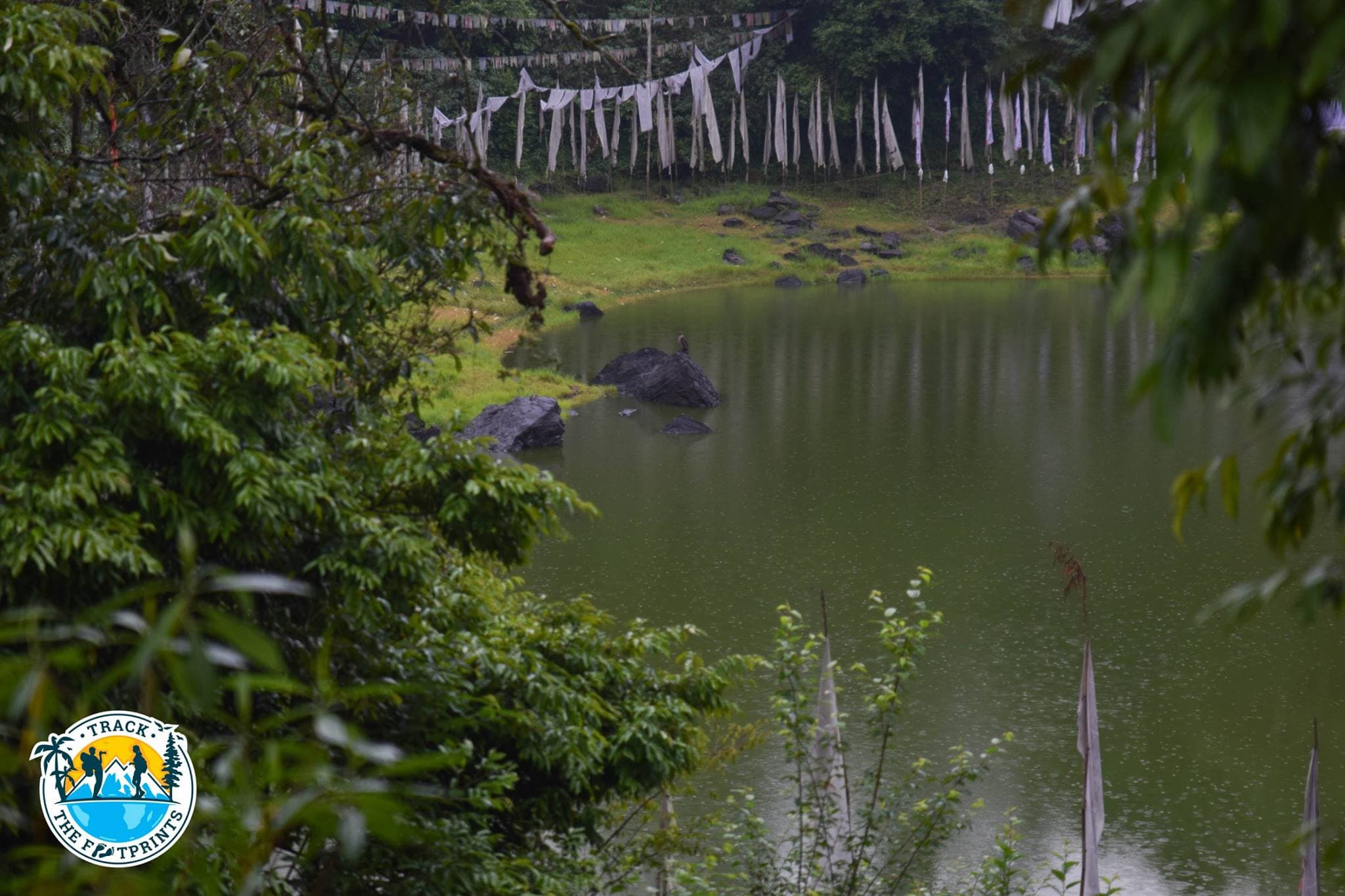 One eagle is waiting patiently for food ... (snakes or frogs) in Yuksom
