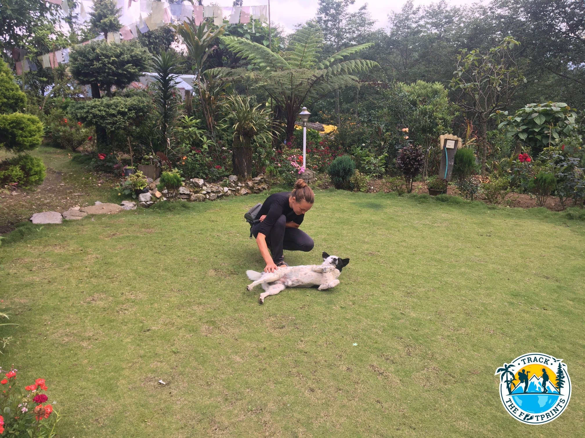 Augustina loves dogs too much