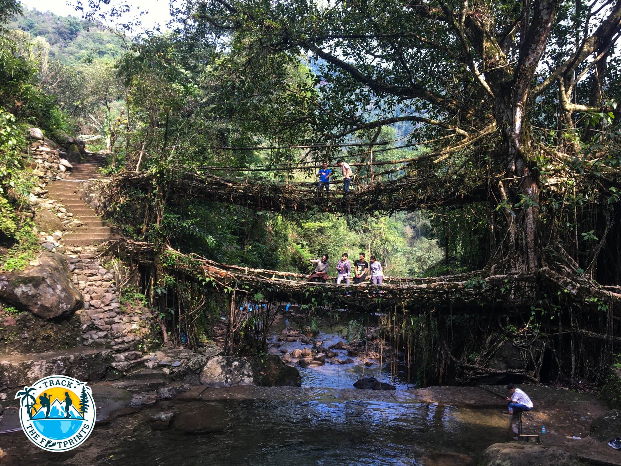 Double deck roots bridge in Nongriat