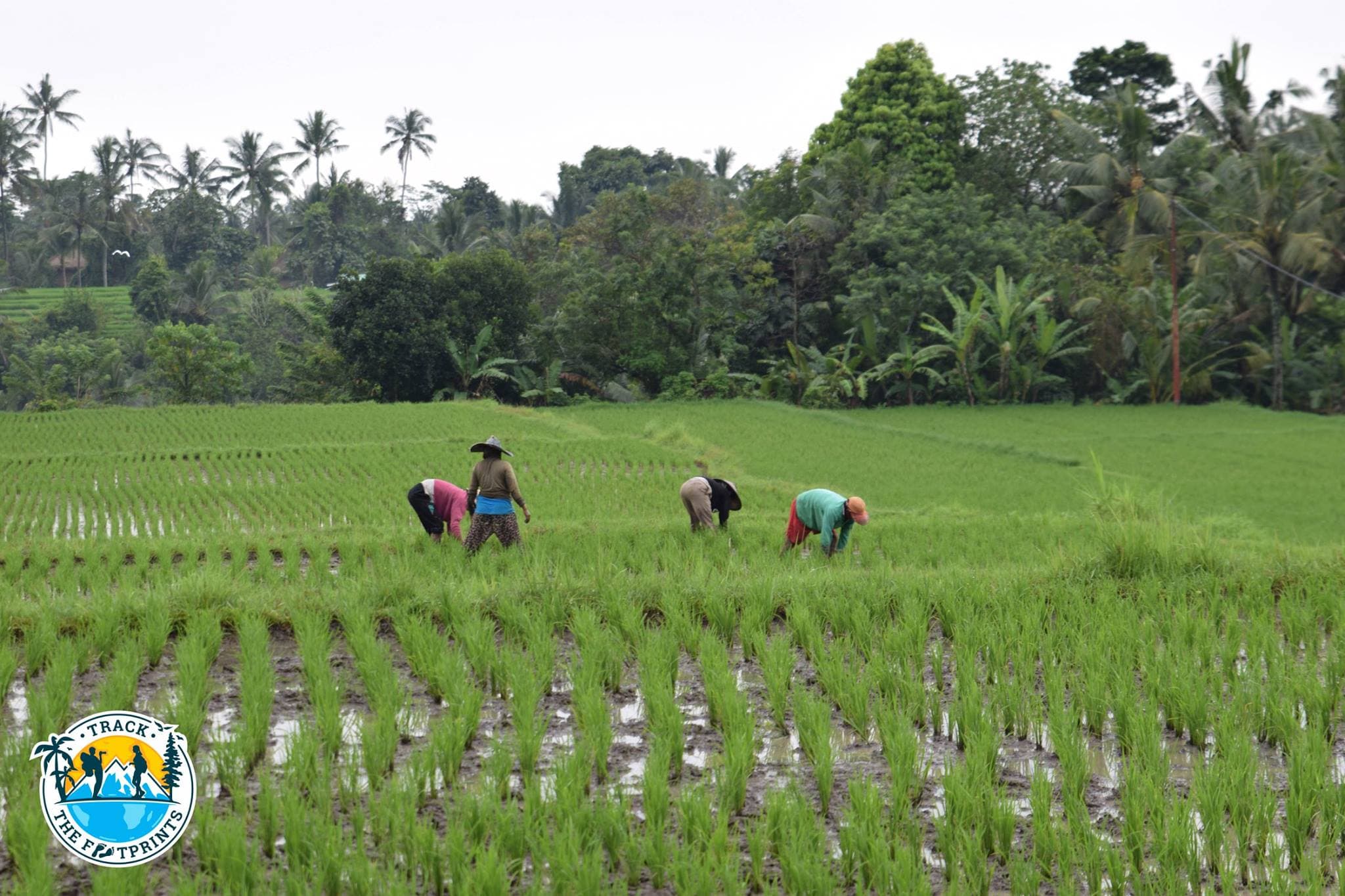 Workers during the Campuhan Ridge Walk