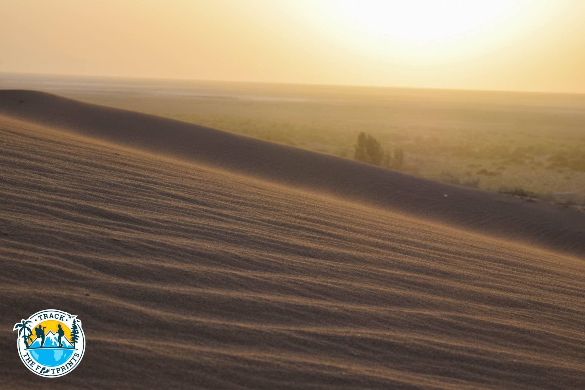 Dunes of the Maranjab Desert