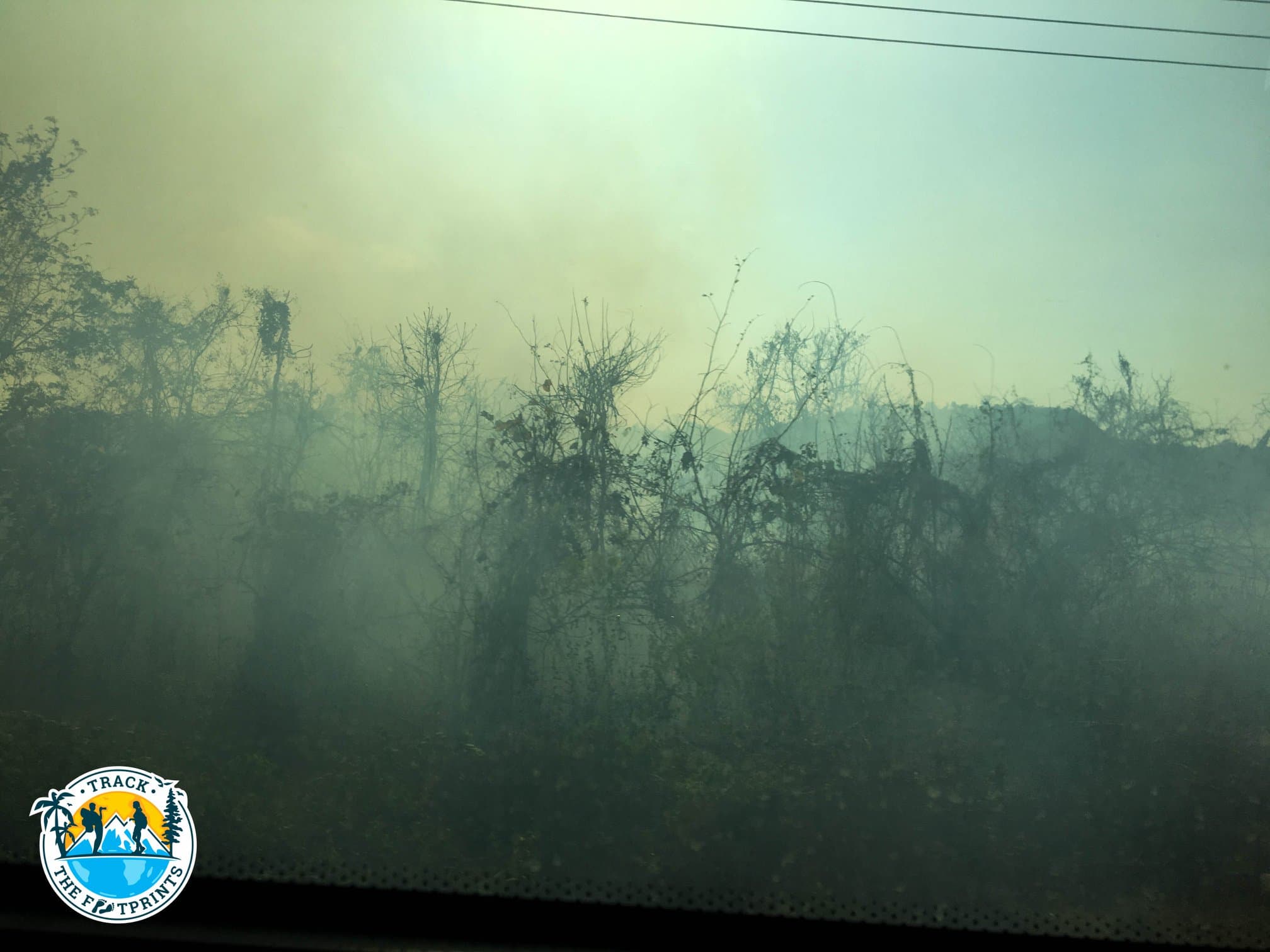 One of the sad views we saw during bus trip ... They burn everything to help farmers then.