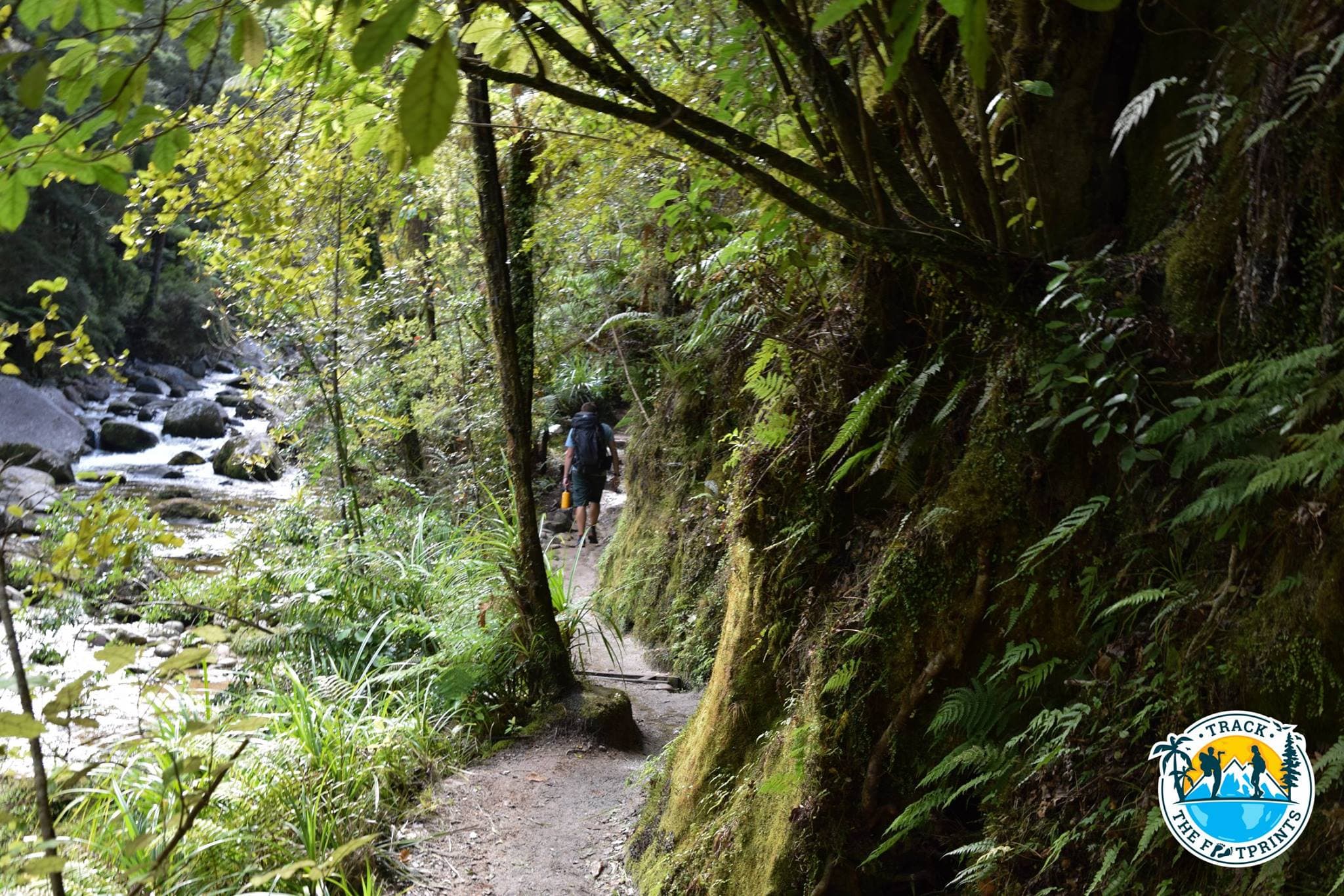 Abel Tasman National Park