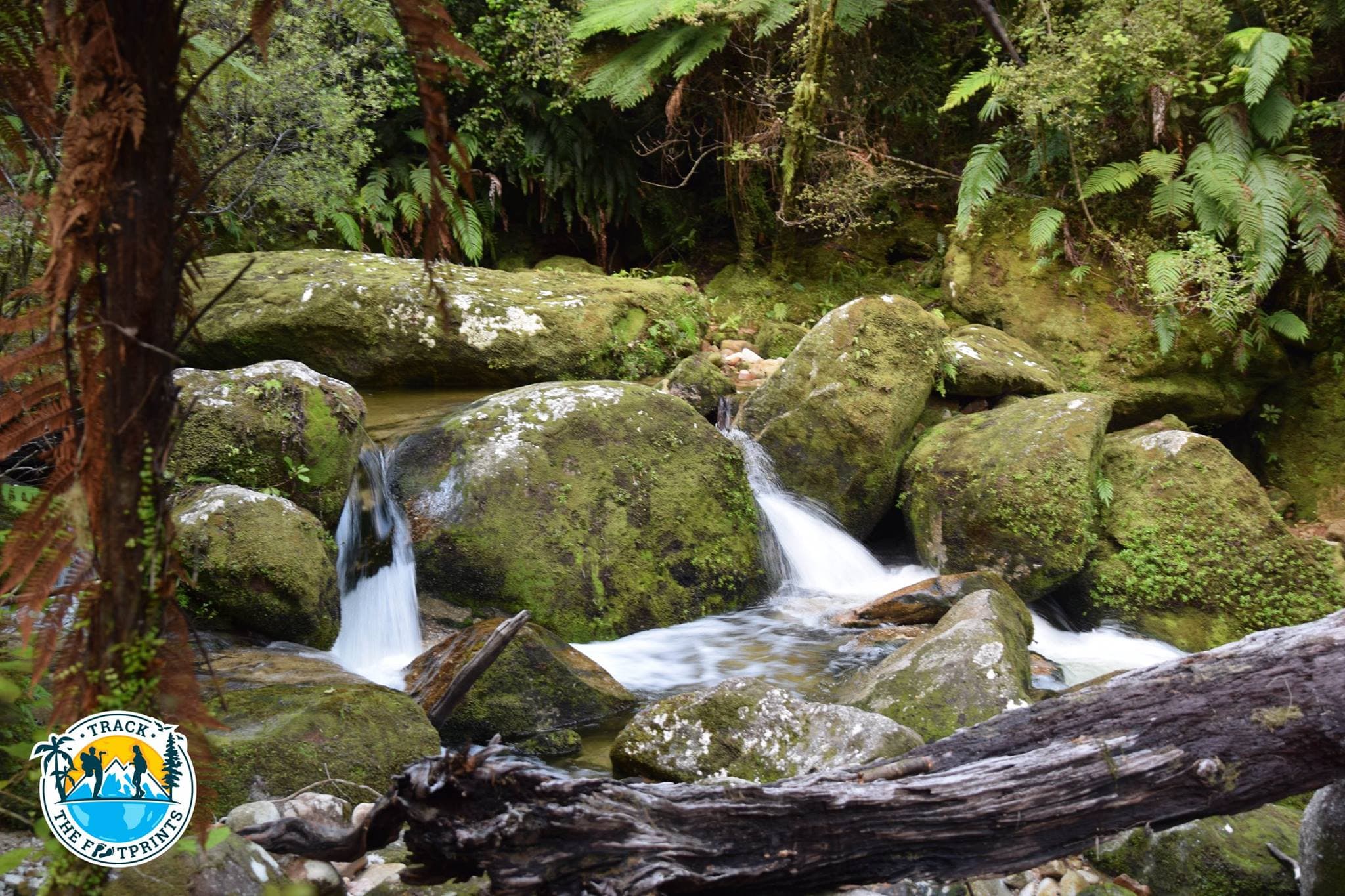 Cleopatra Pool, Abel Tasman track