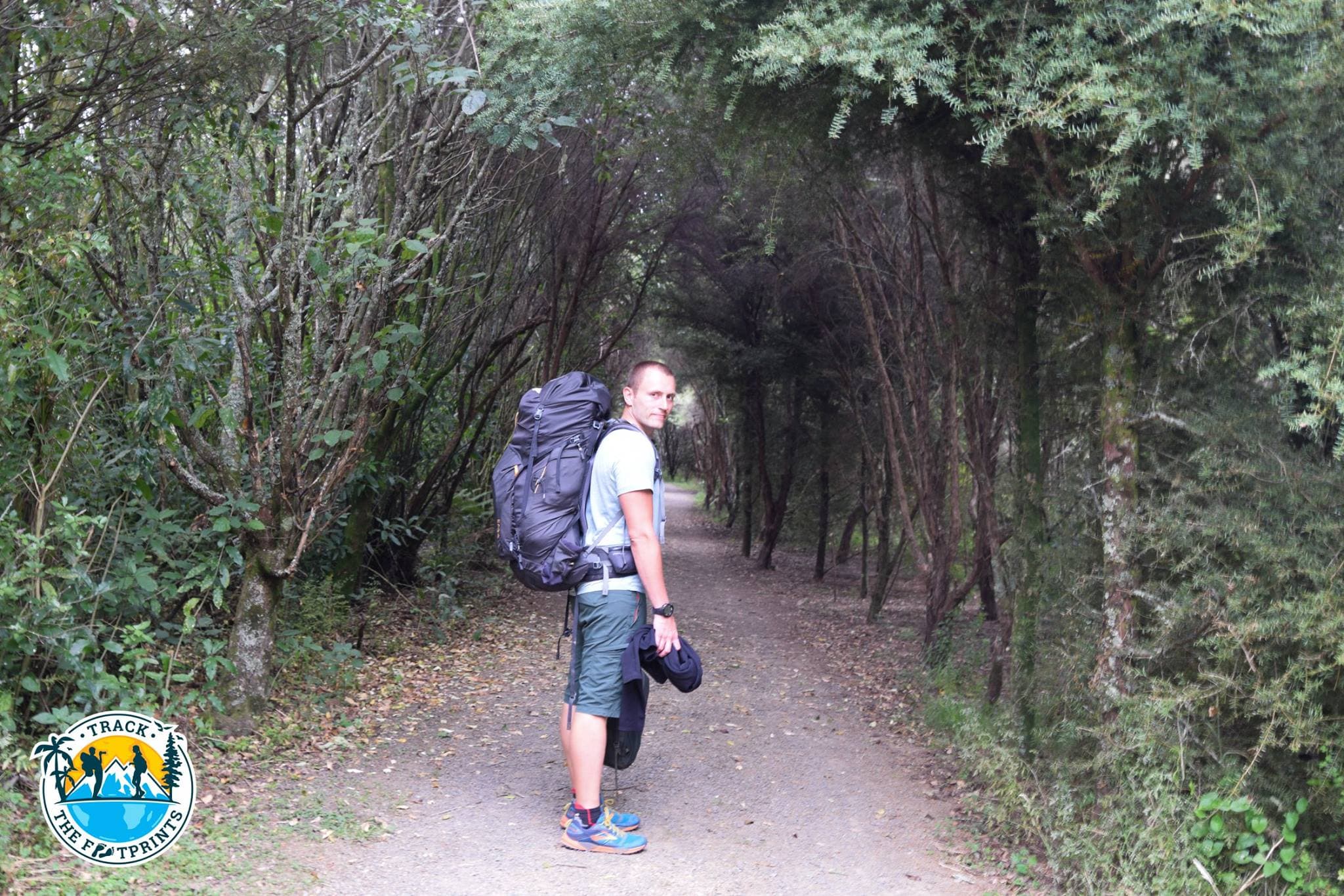 New Zealand: Rain, Cliffs & The Road South