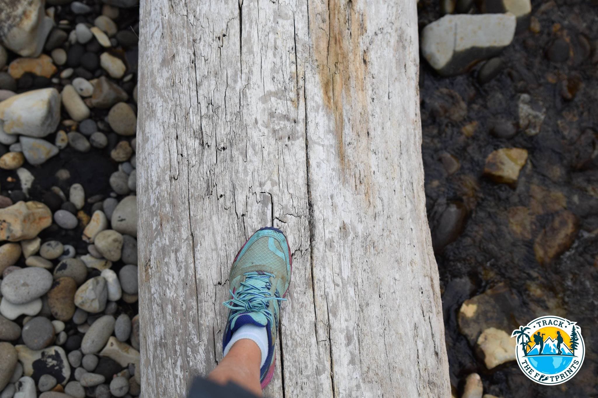 Augustina tracks the footprints of William at Waitoetoe Beach
