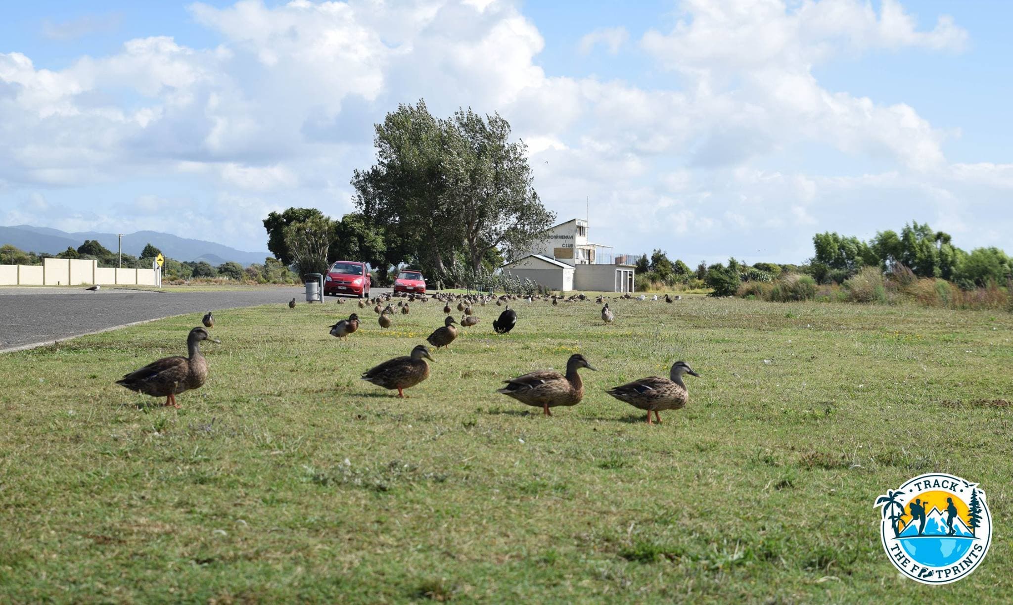 Some friends are visiting us!