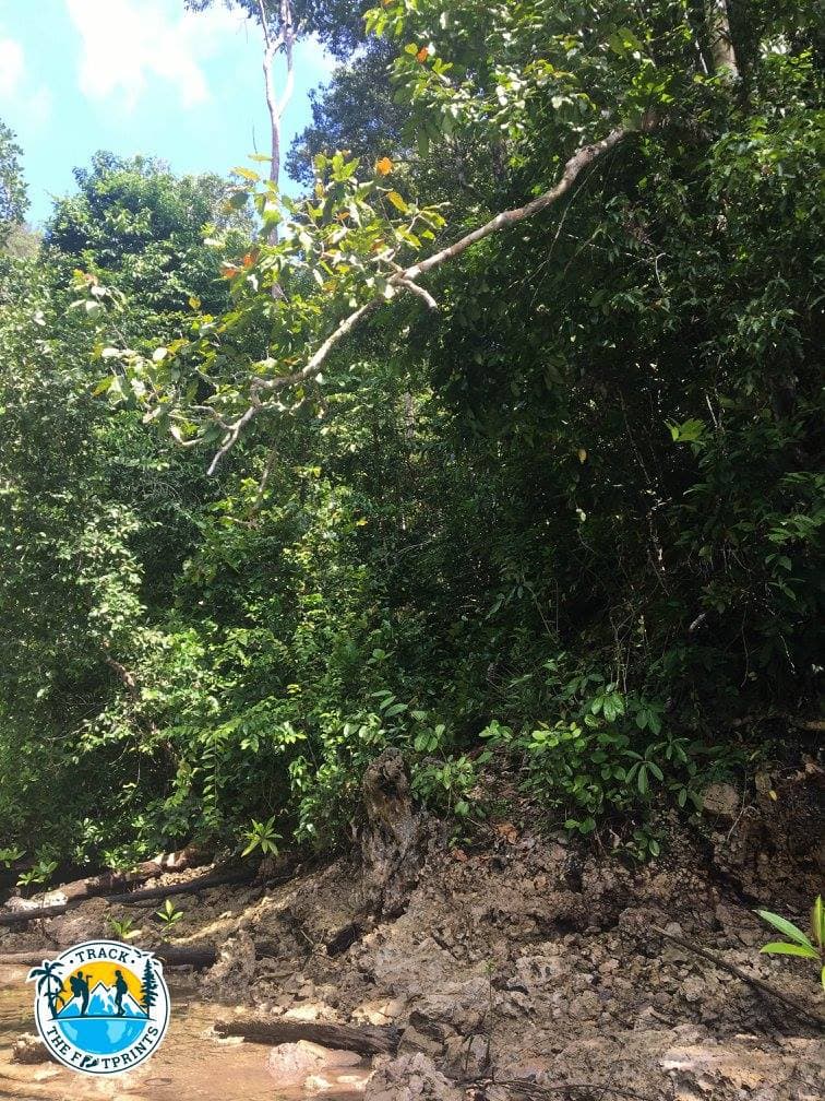 The start from Pulau Gam to Kabui. Yes, this is a footpath