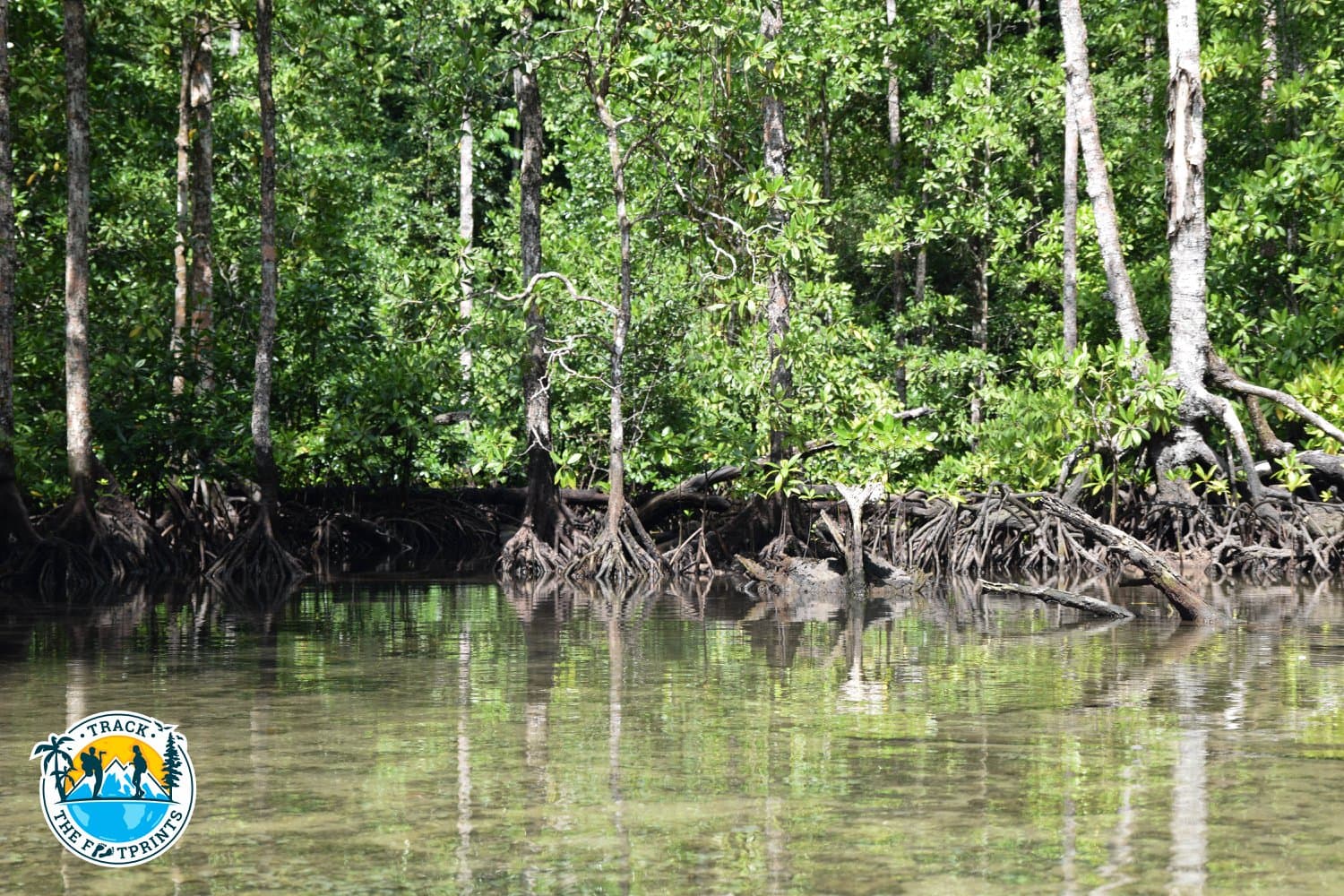 At Pulau Gam, before crossing the jungle to Kabui village