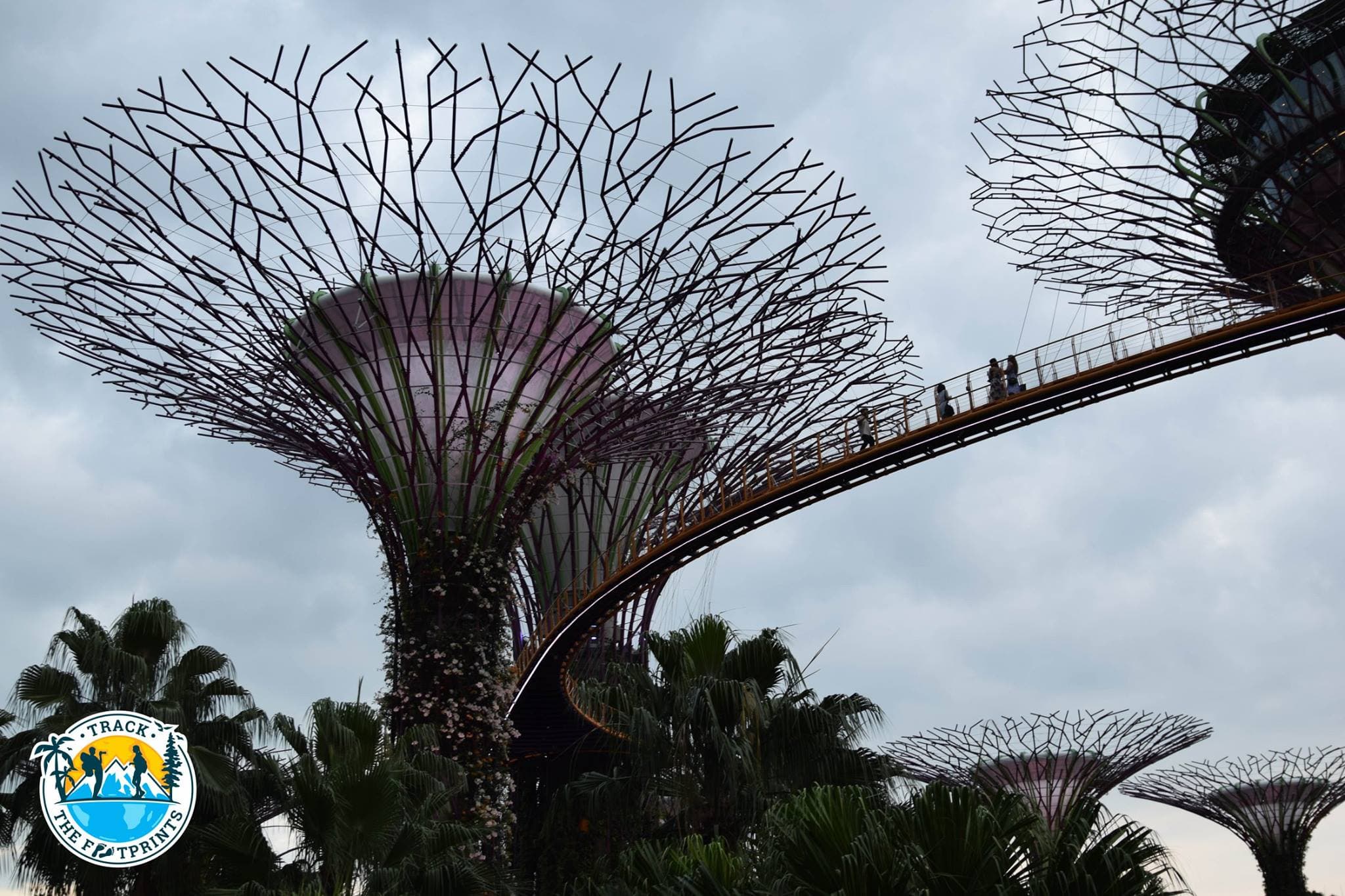 Garden By the Bay Singapore