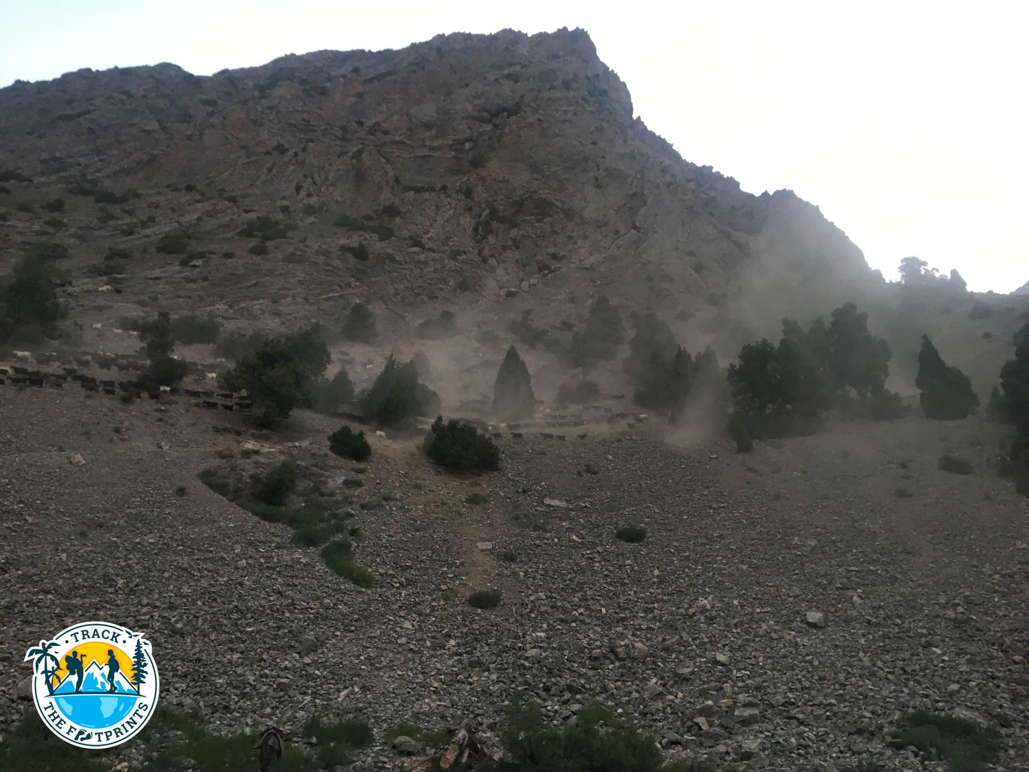 When goats crossed the hills — noisy and dusty, Fann Mountains