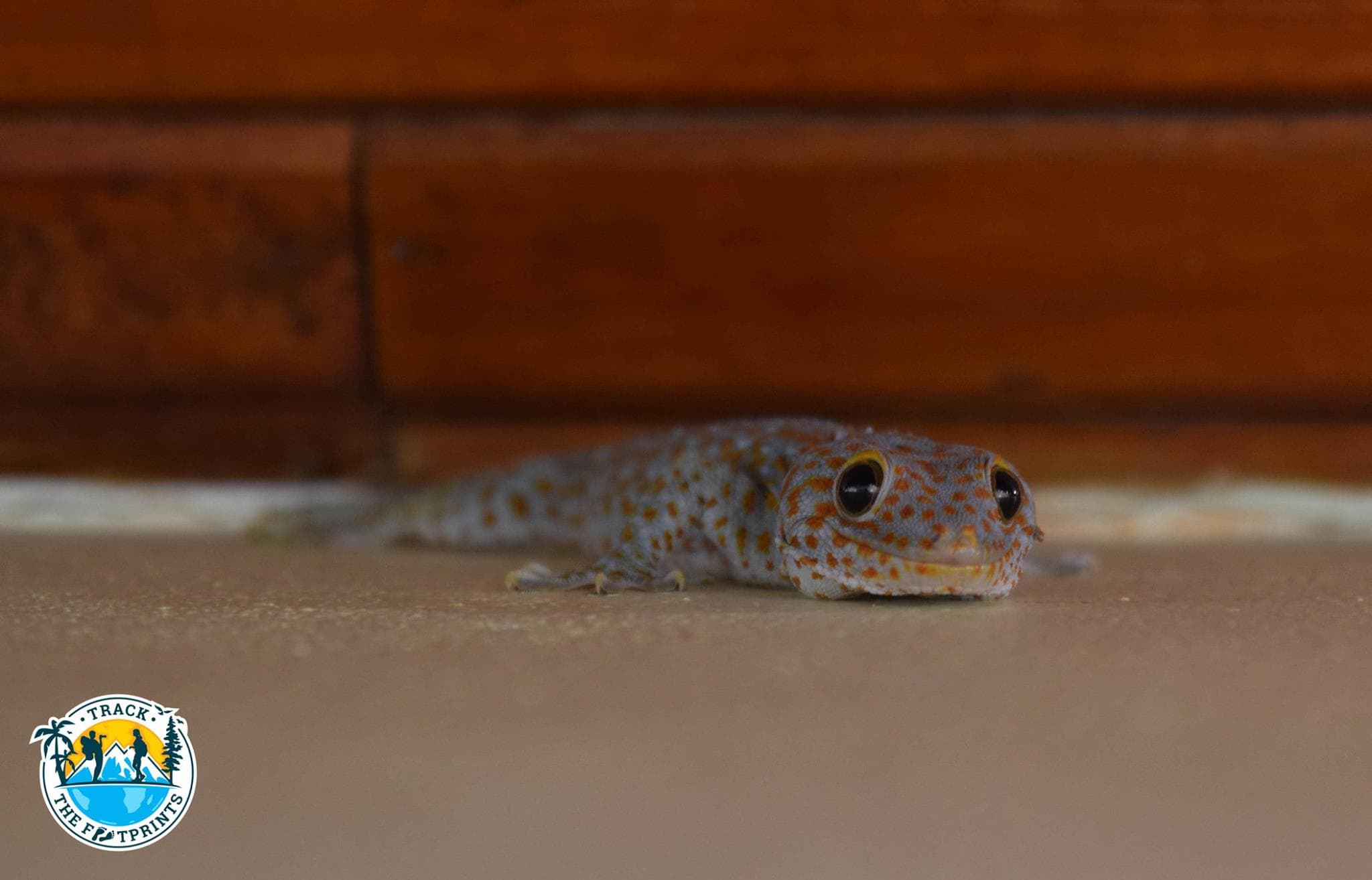 This guy was checking if we were coming back in the hotel every evening. When we crossed the door, he starts smiling!