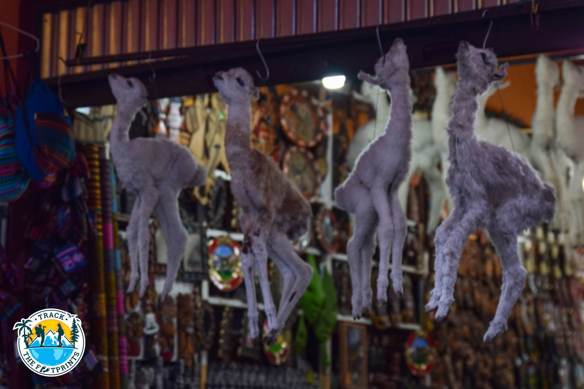 Witch market, La Paz, Bolivia