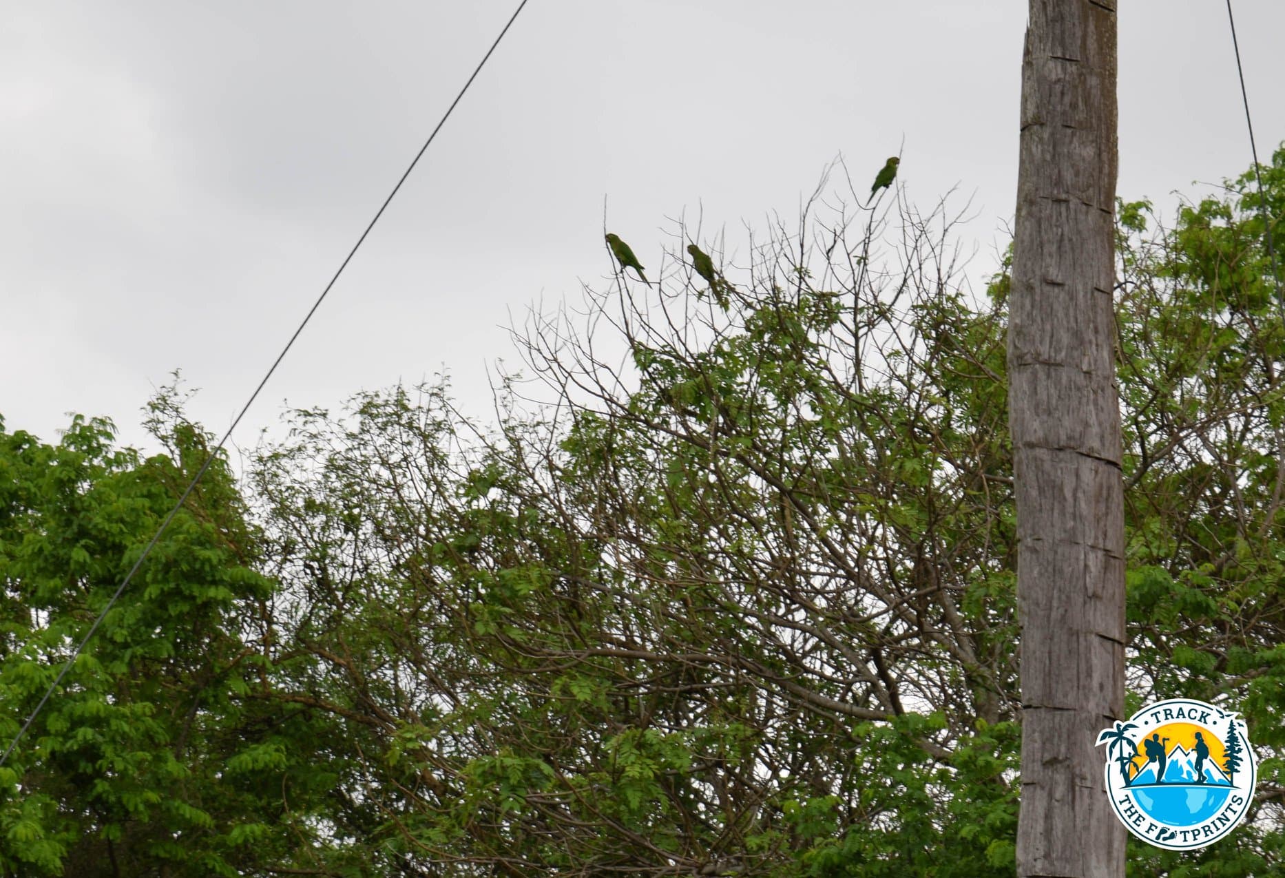 Parque regional Lomas de Arena