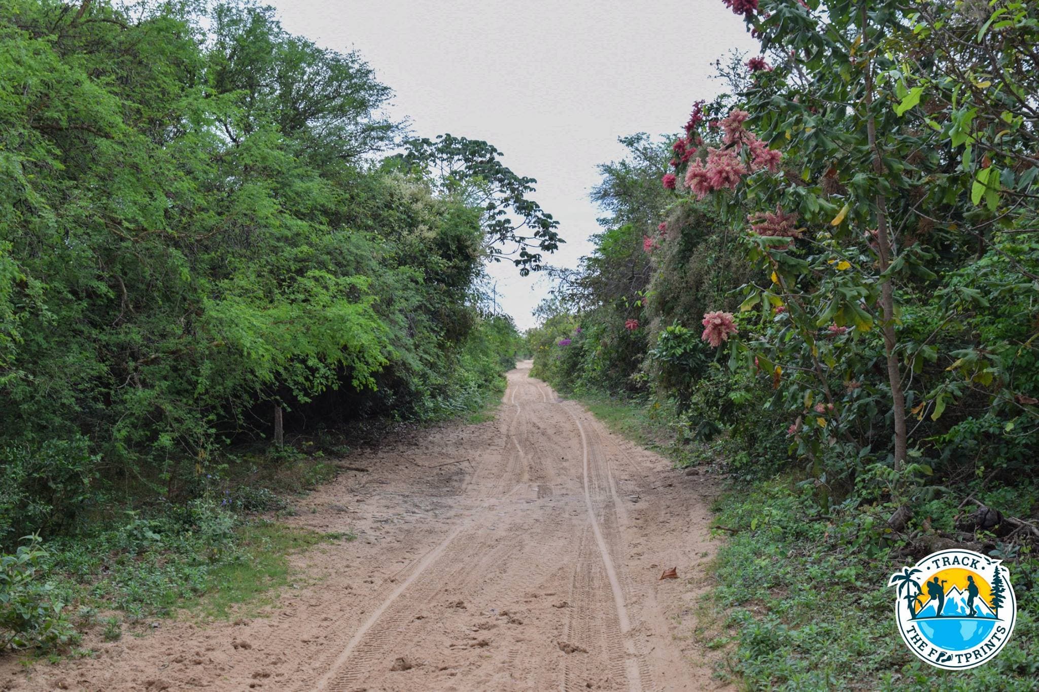 Parque regional Lomas de Arena