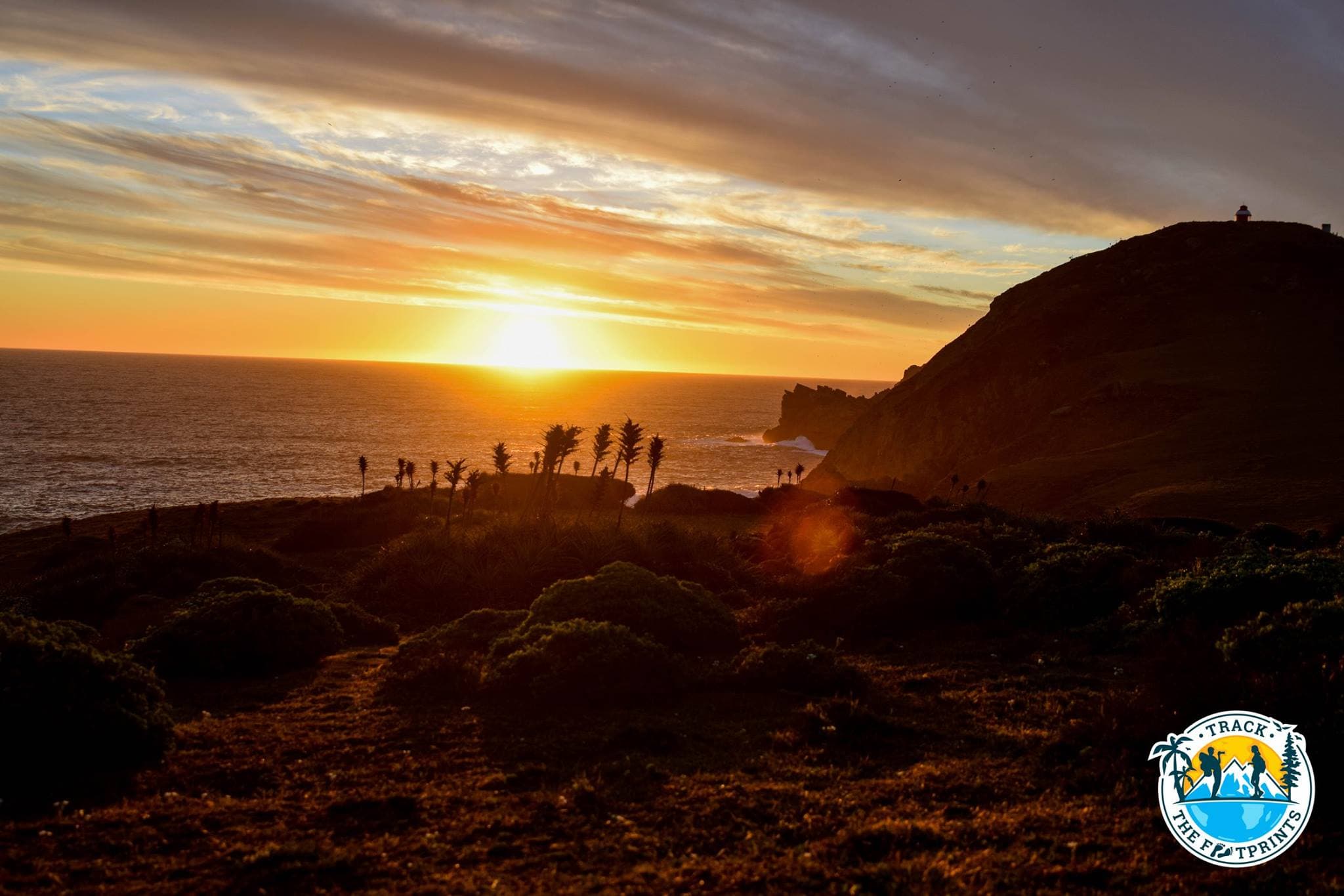 Chile Moto Road Trip: 11 Days from Santiago to Puerto Montt