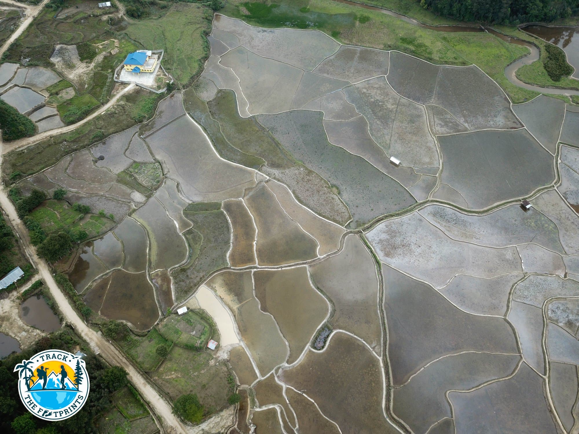 Rice field in Ziro Valley