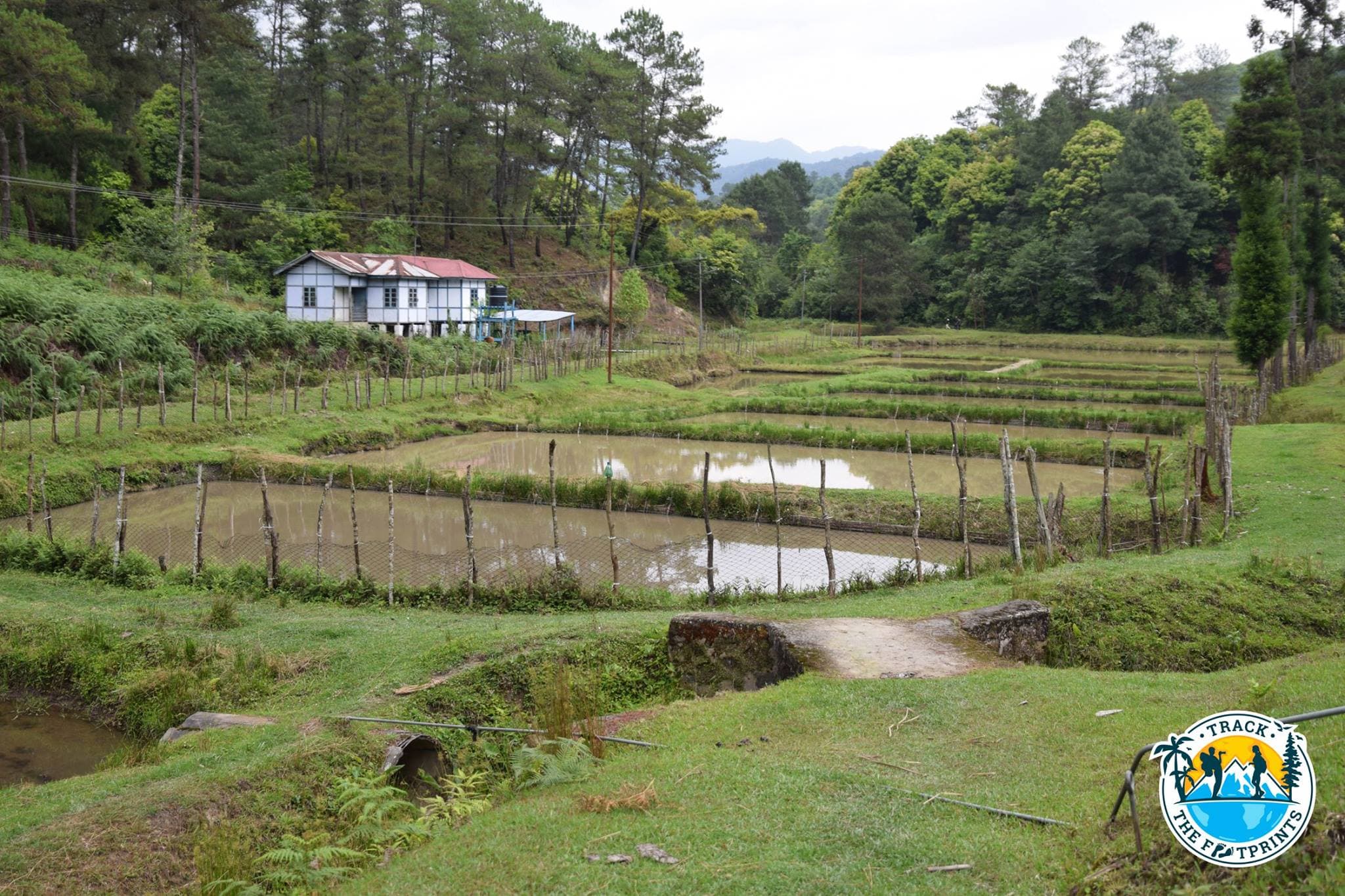 High Altitude Fish farms