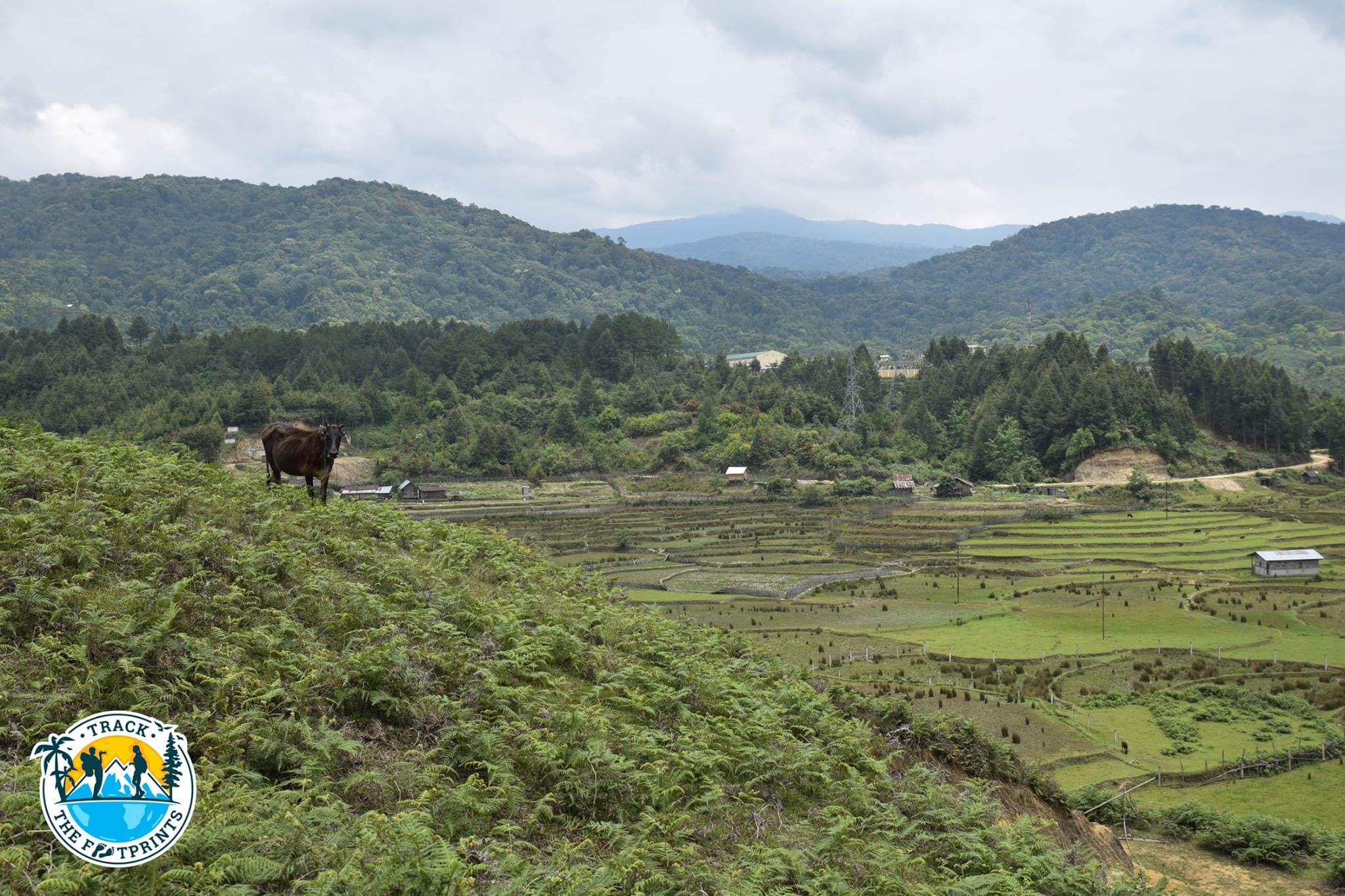 Ziro Valley