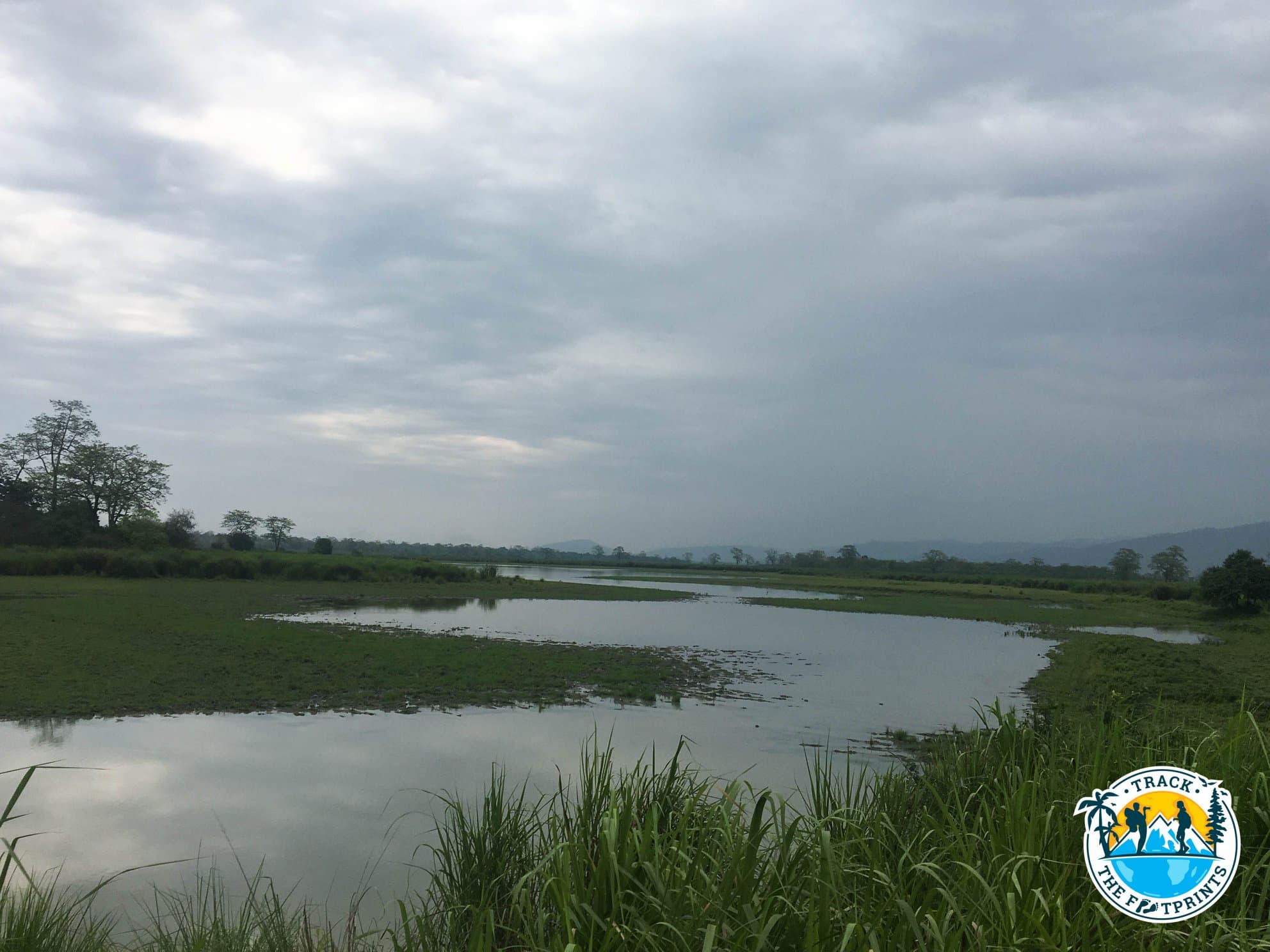 Kaziranga National Park