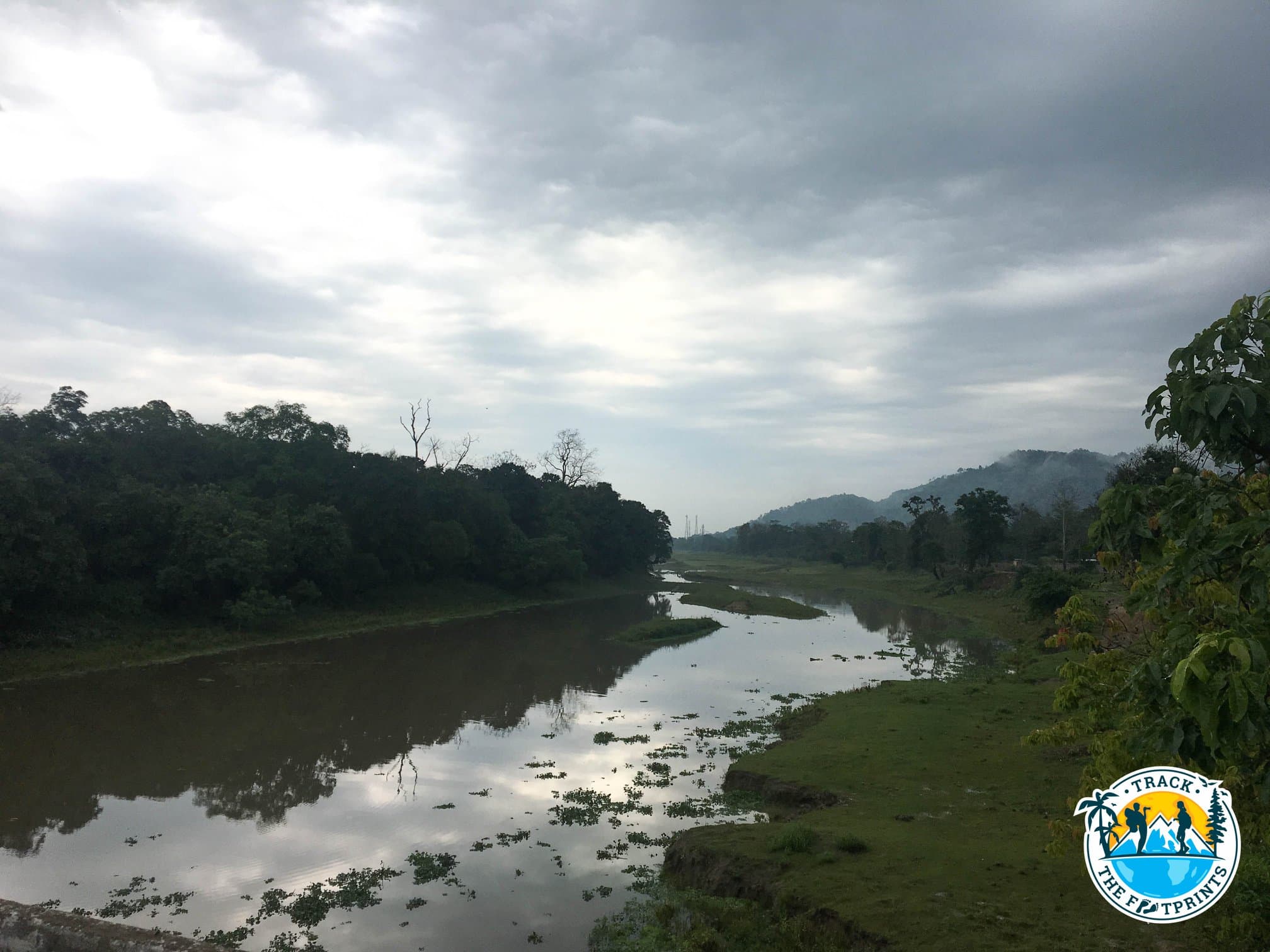Kaziranga National Park
