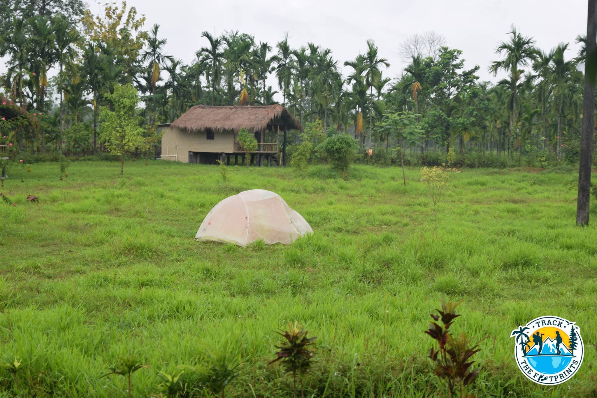 In a nice eco-camp in Nameri National Park for our tent! It was approximately 2 months we didn't use our tent, crazy!