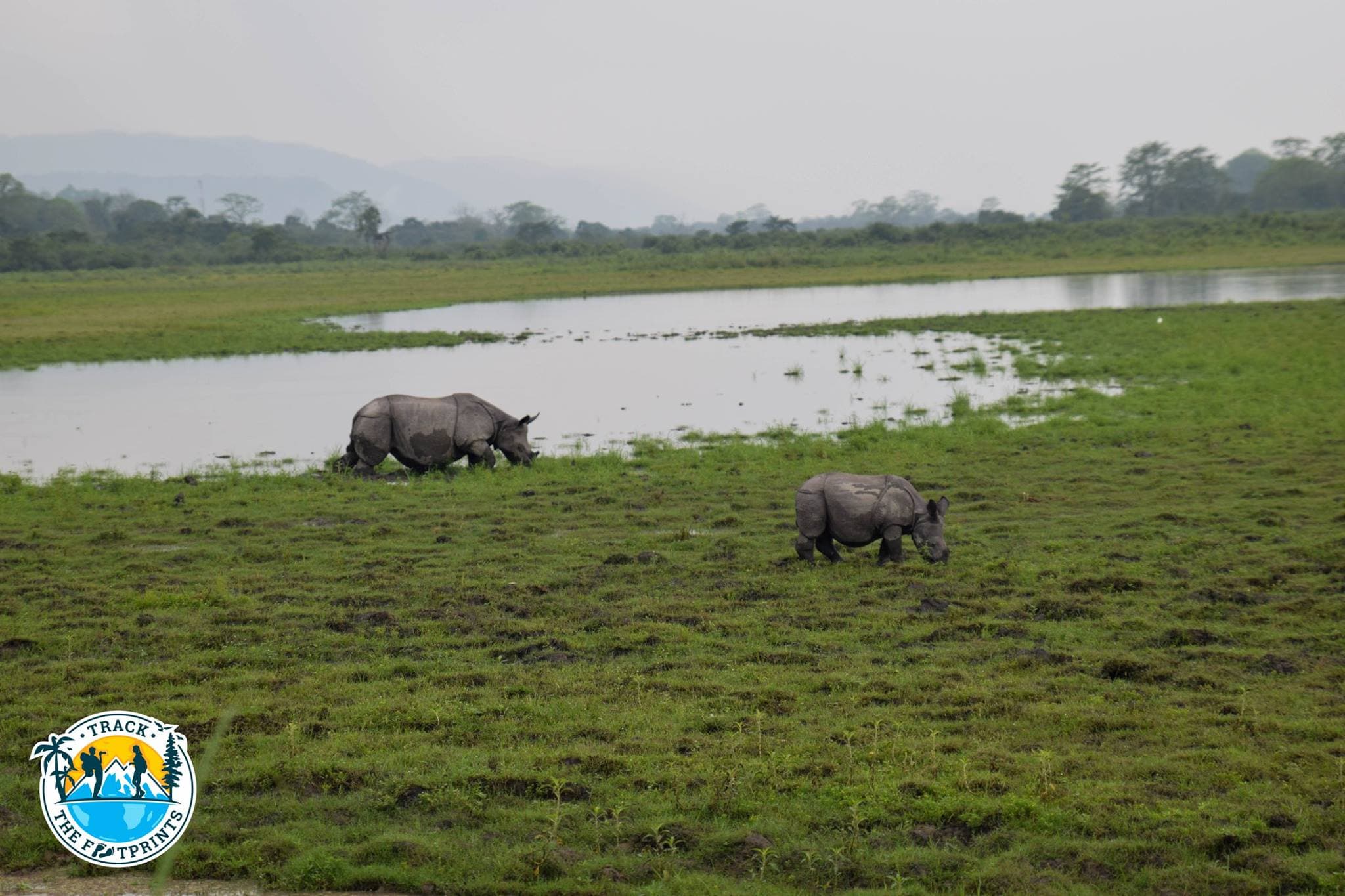 Kaziranga National Park