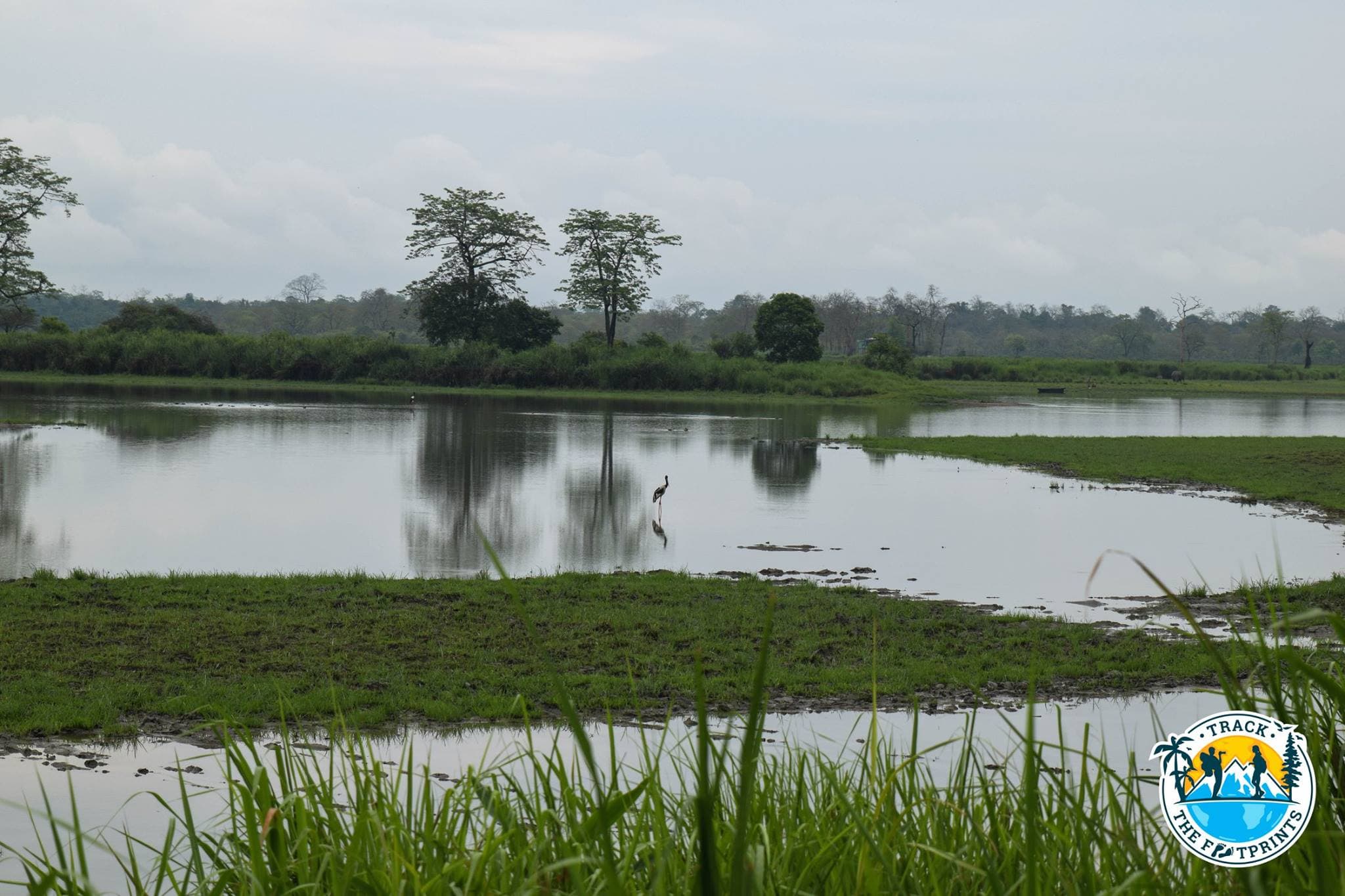 Kaziranga National Park