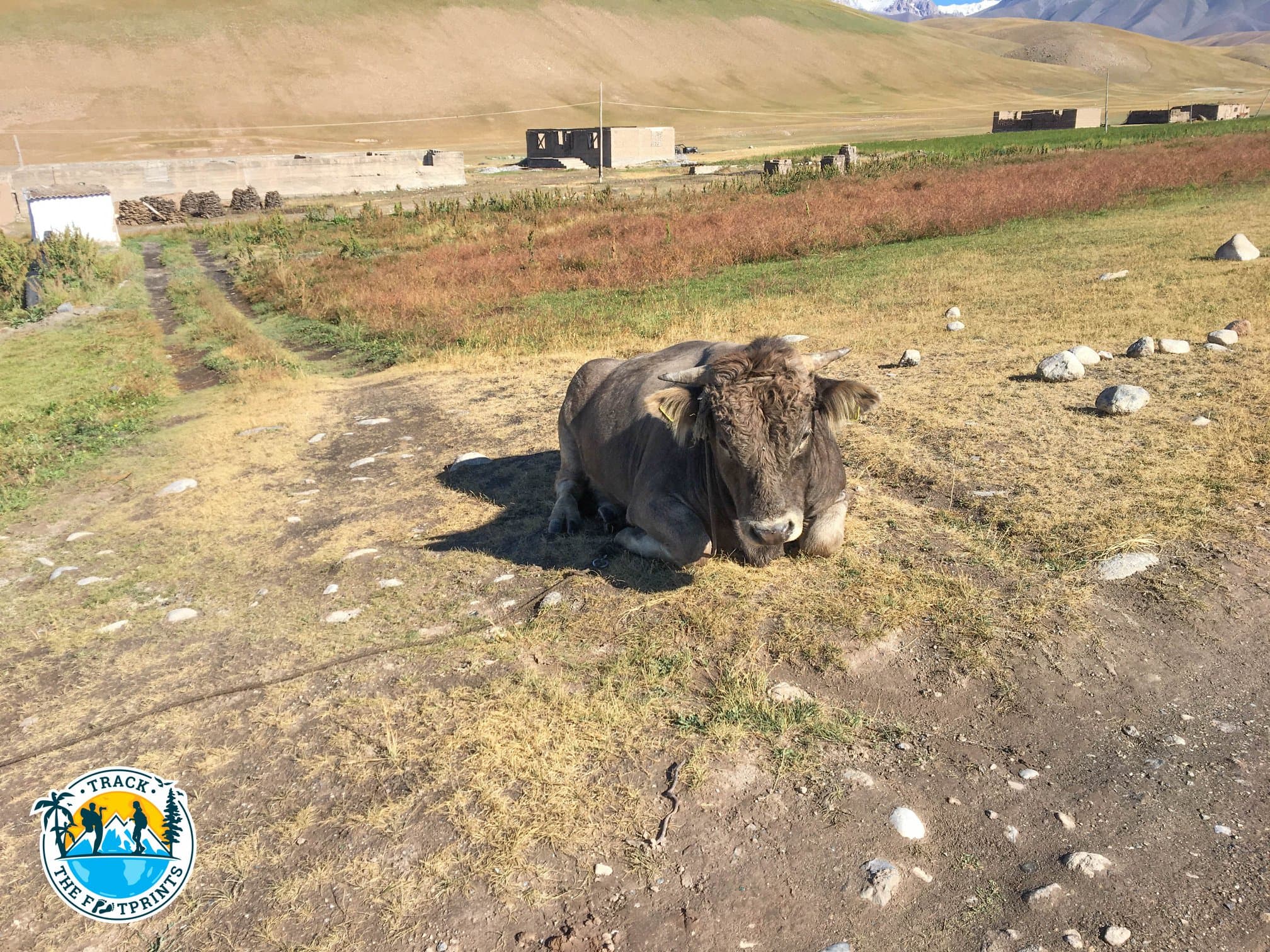 Heights of Alay Valley trek