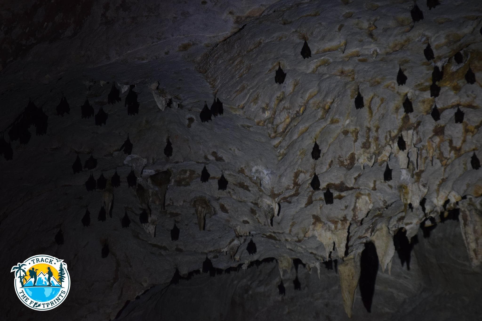 Sadan Cave with millions of bats
