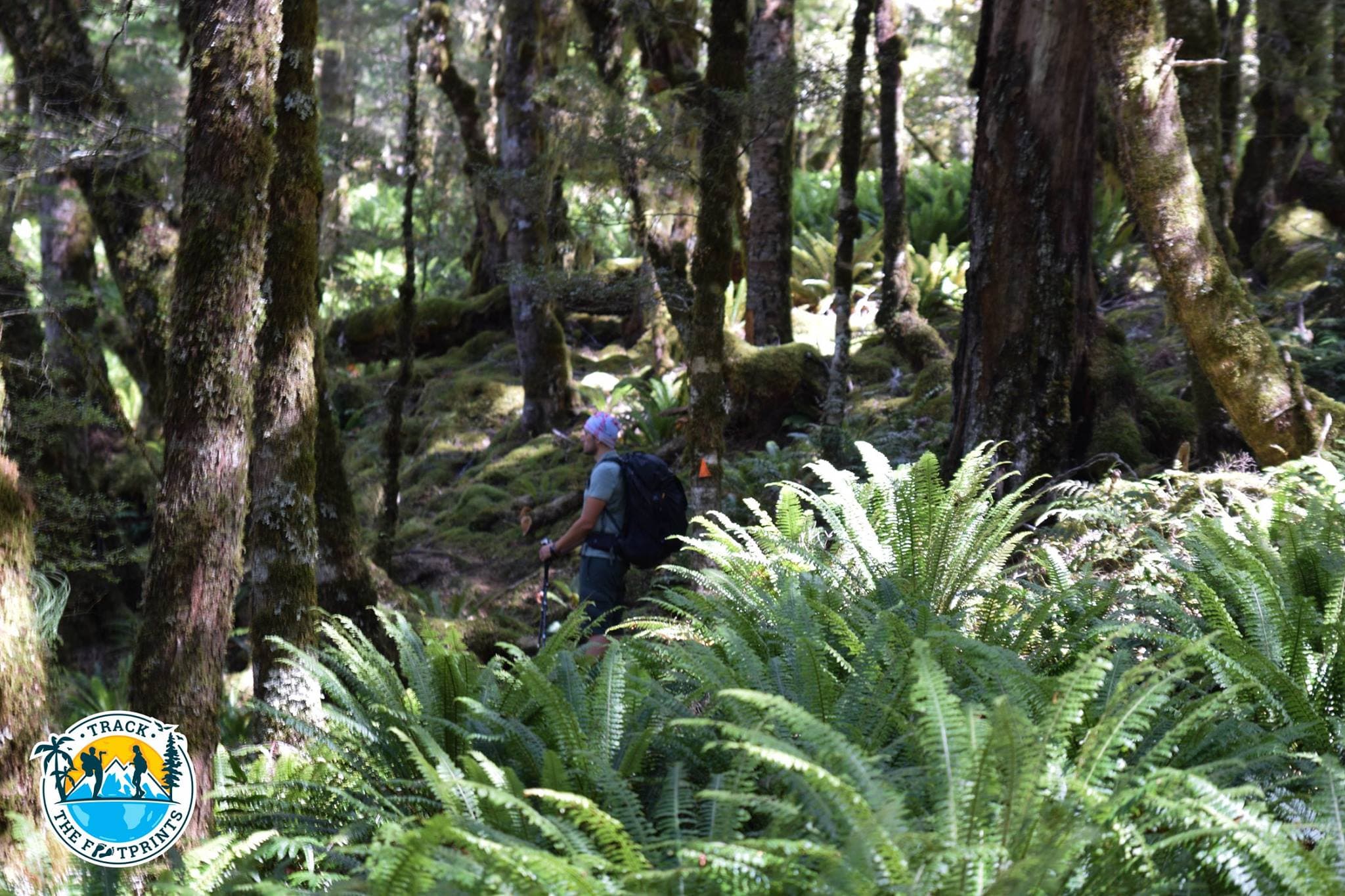 William in the jungle of Rodger Inlet track in Fiordland National Park