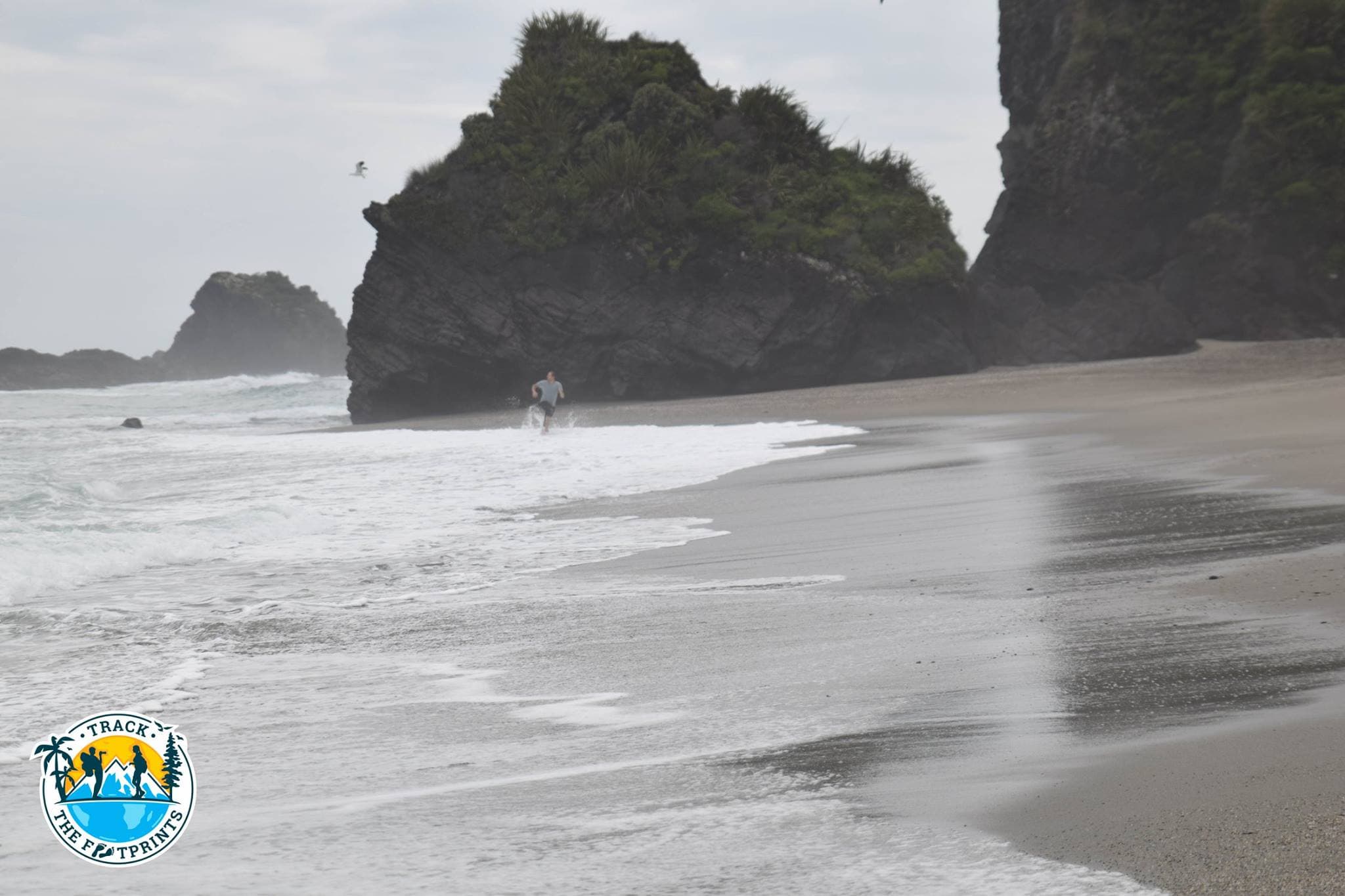Épisode Un — Les Oiseaux s'Éveillent
